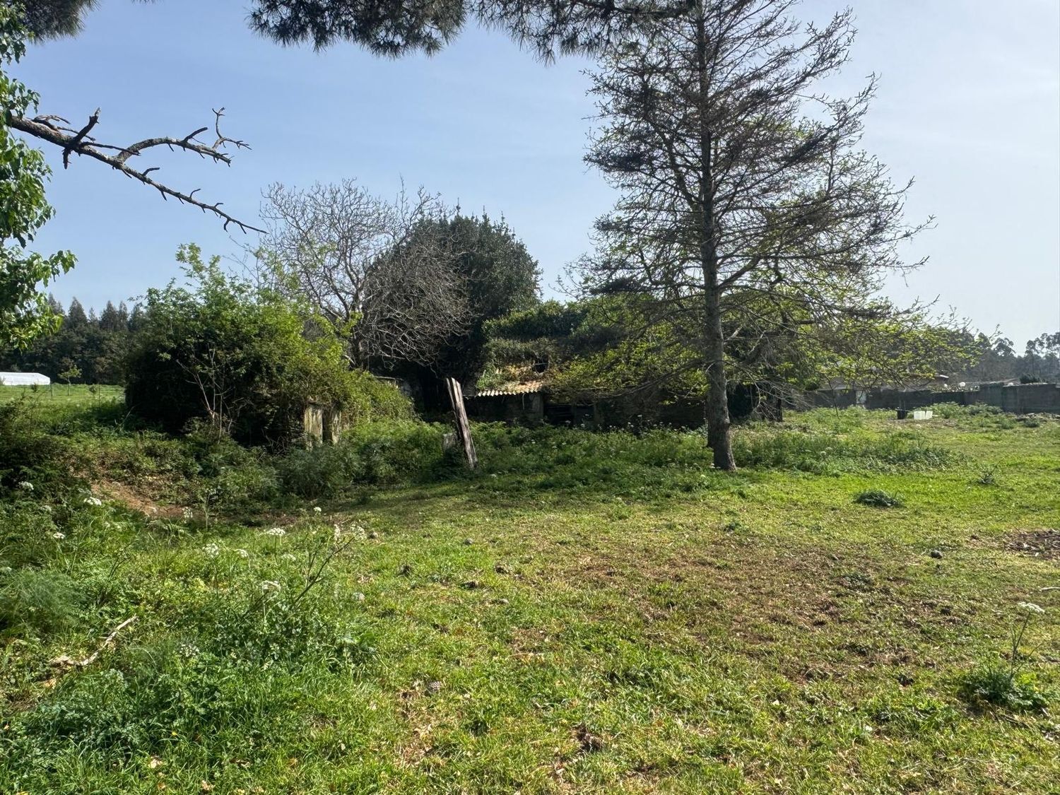 Casas o chalets-Venta-ValdoviÃ±o-2241800-Foto-20