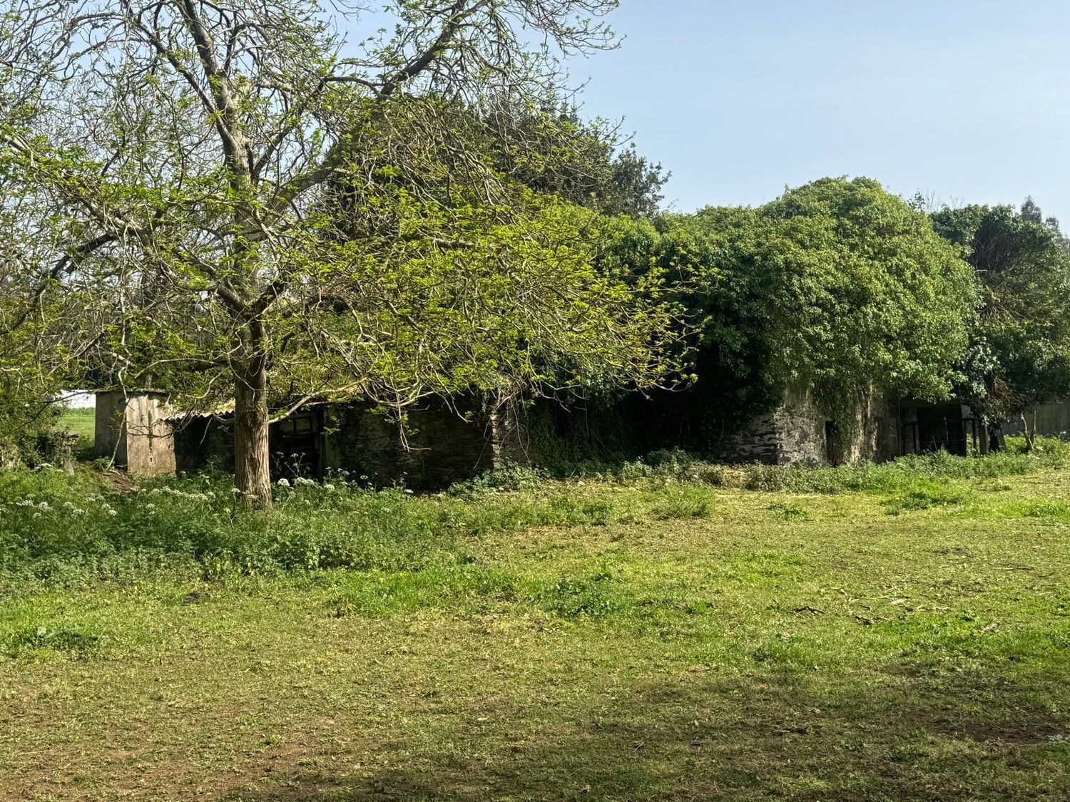 Casas o chalets-Venta-ValdoviÃ±o-2241800-Foto-24