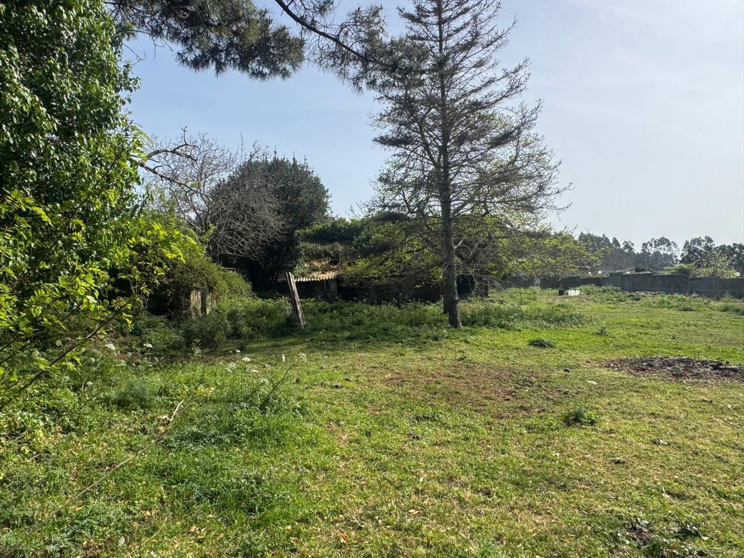 Casas o chalets-Venta-ValdoviÃ±o-2241800-Foto-21