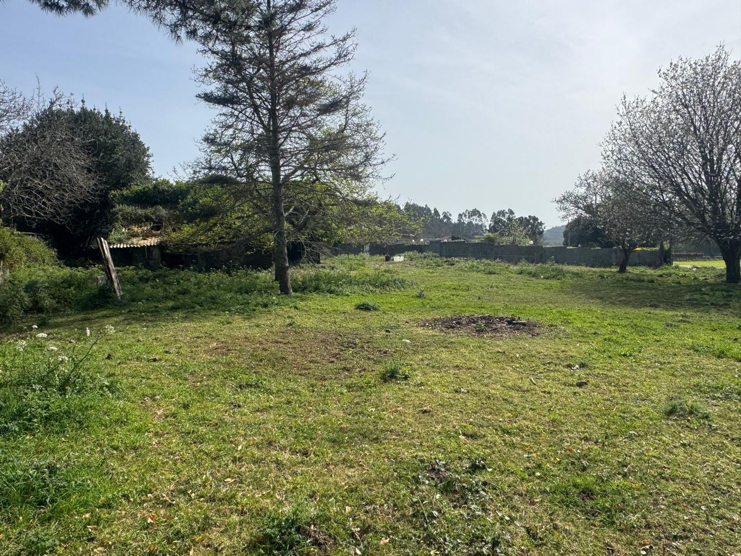 Casas o chalets-Venta-ValdoviÃ±o-2241800-Foto-22