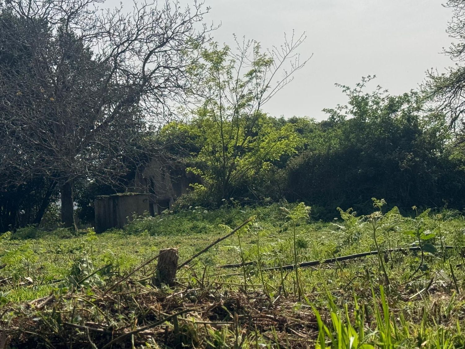 Casas o chalets-Venta-ValdoviÃ±o-2241800-Foto-26