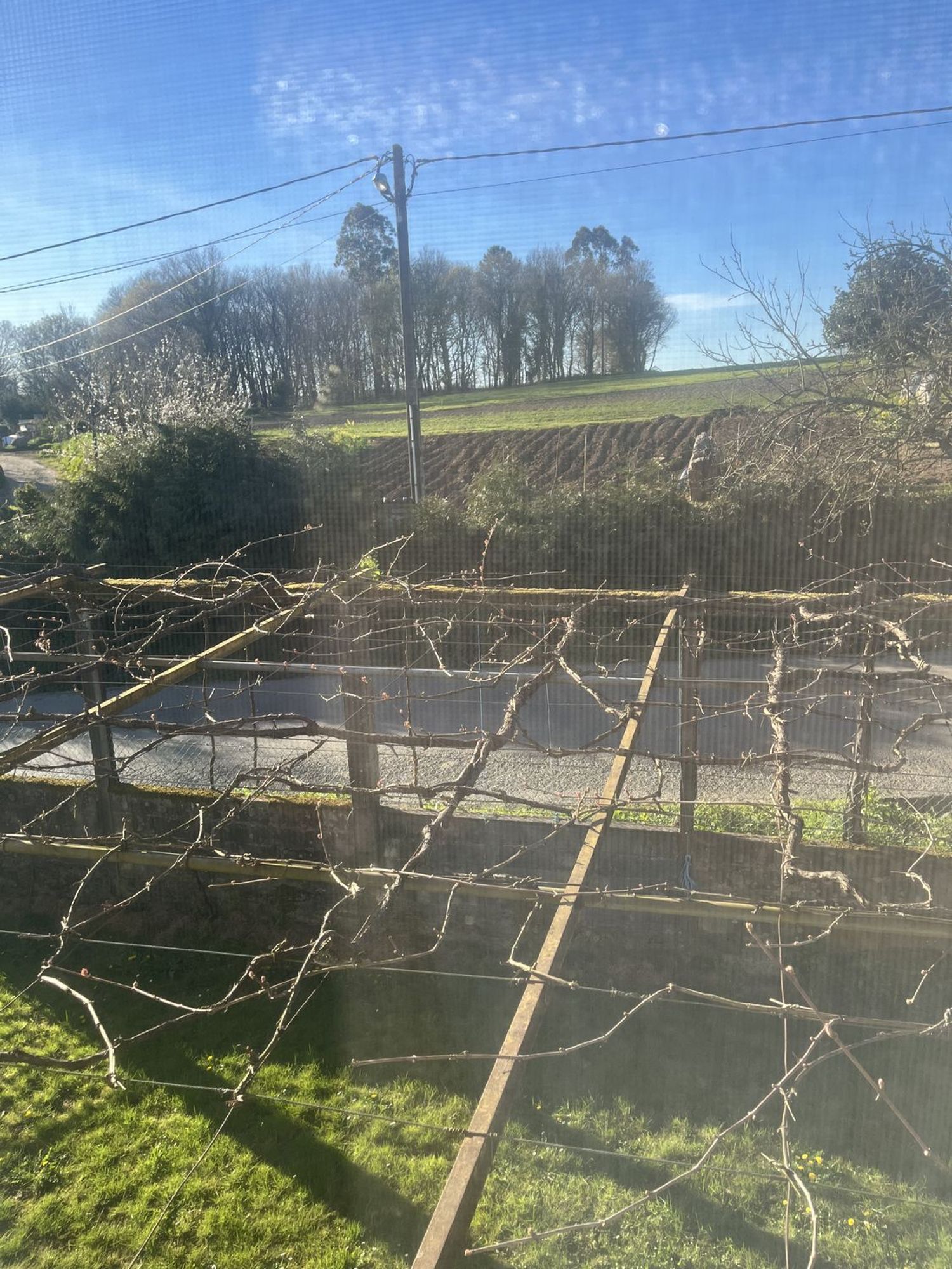 Casas o chalets-Venta-ArzÃºa-2238599-Foto-6