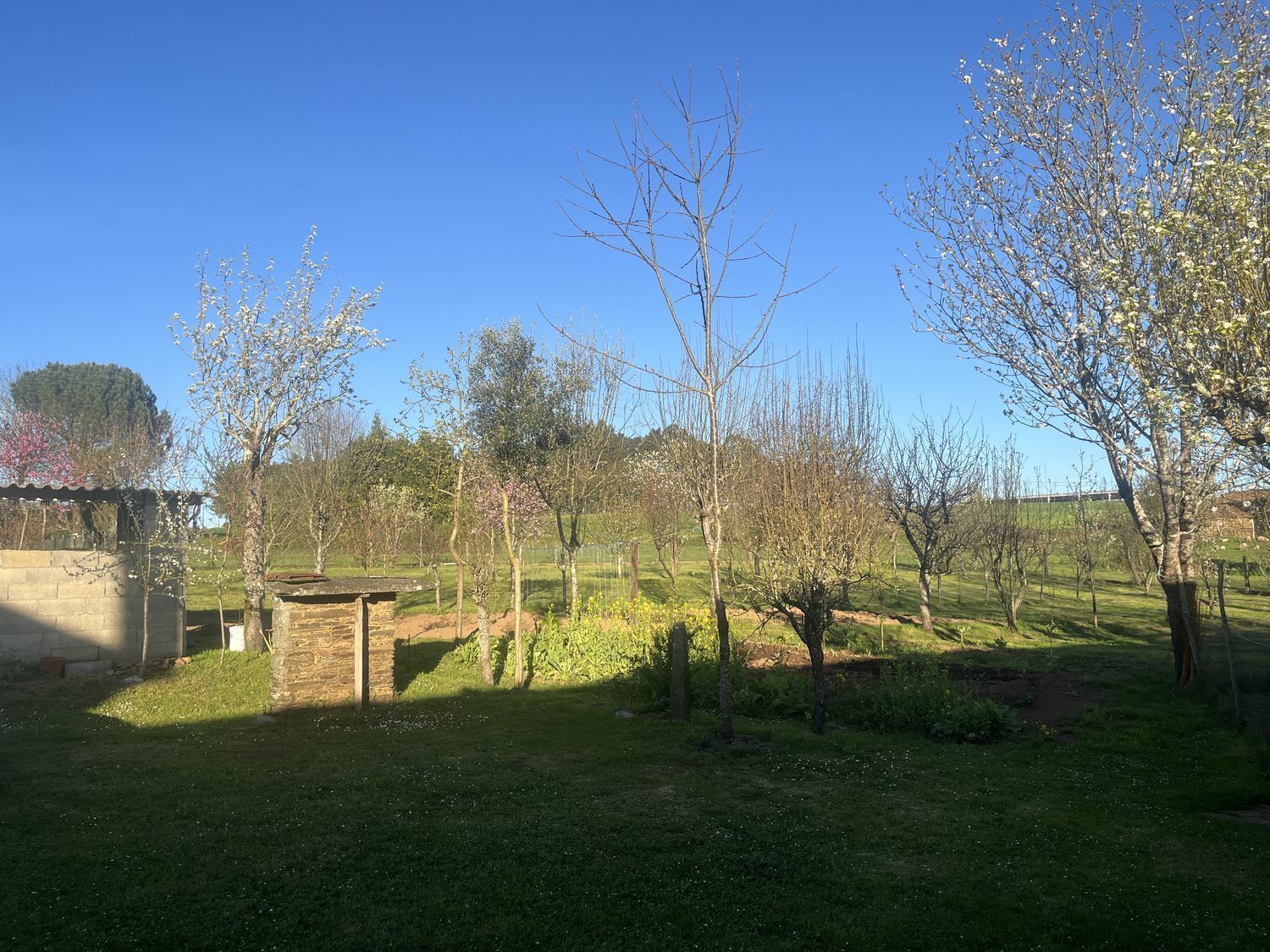 Casas o chalets-Venta-ArzÃºa-2238599-Foto-9