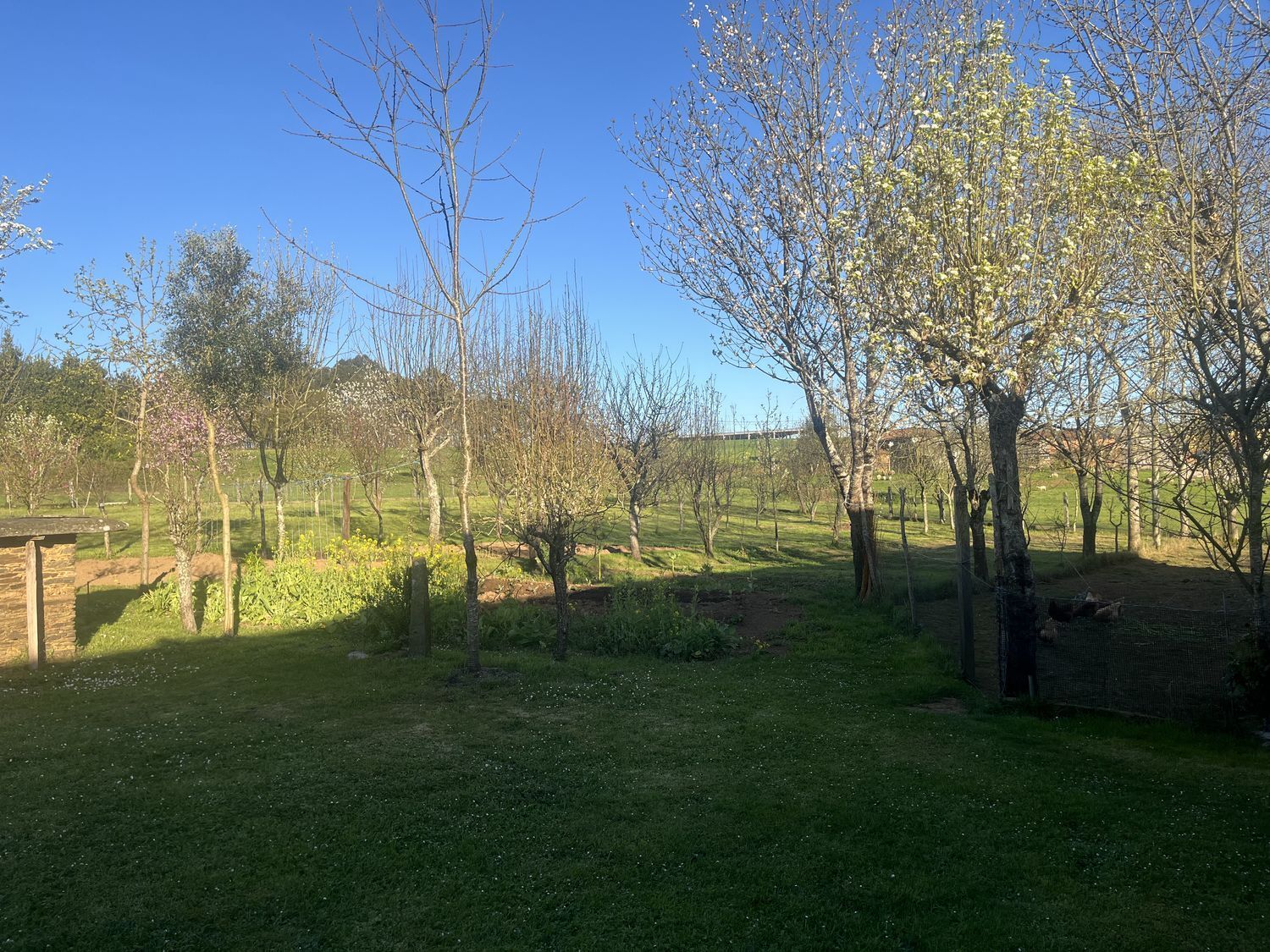 Casas o chalets-Venta-ArzÃºa-2238599-Foto-19