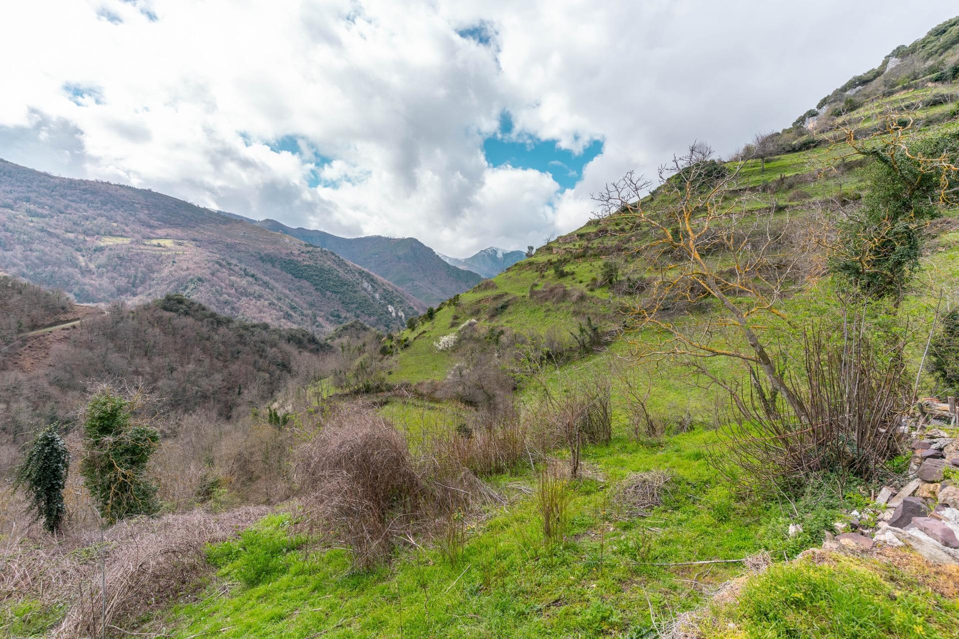 CASA CON TERRENO EN VENTA EN CLAVILLAS (SOMIEDO)