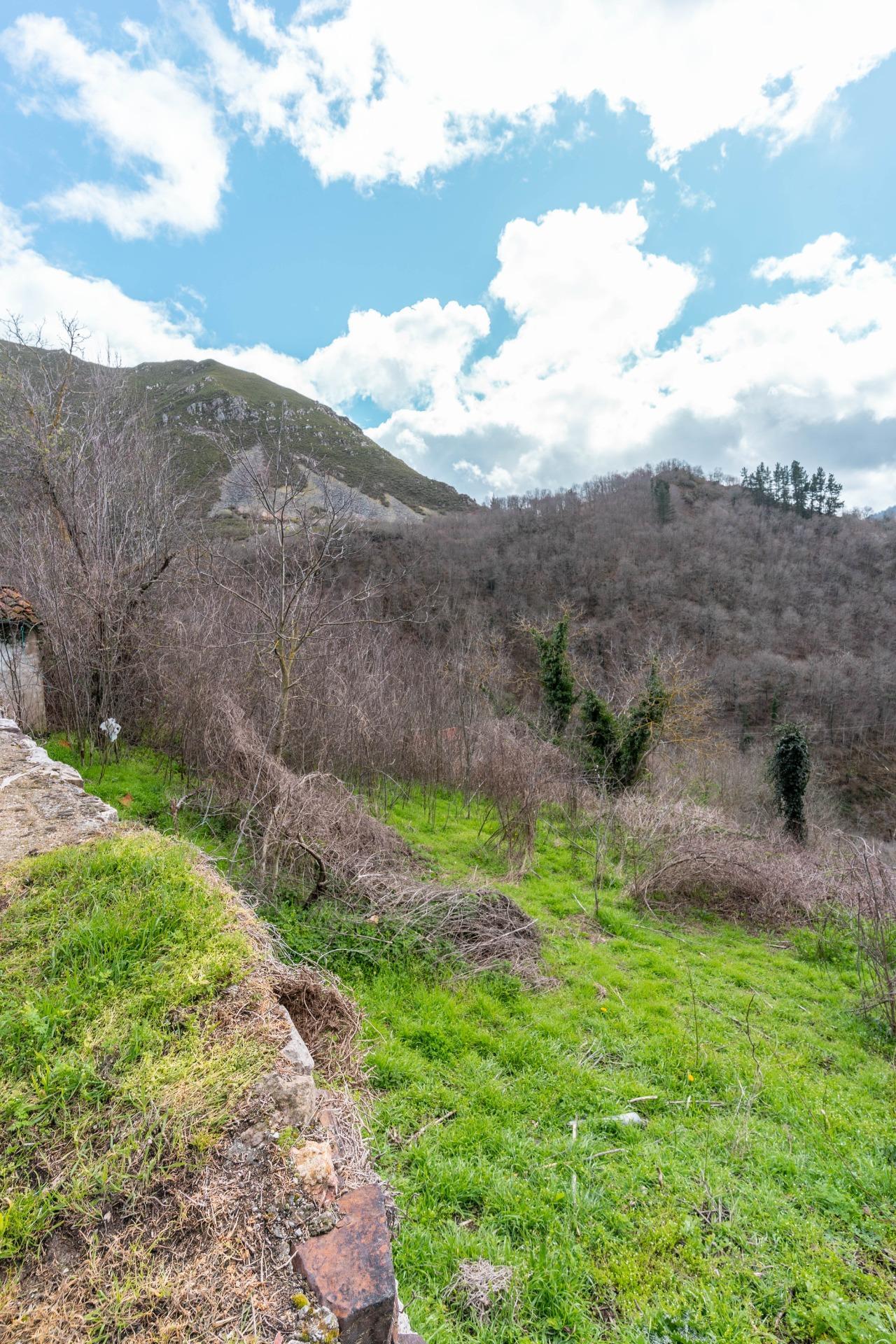 CASA CON TERRENO EN VENTA EN CLAVILLAS (SOMIEDO)