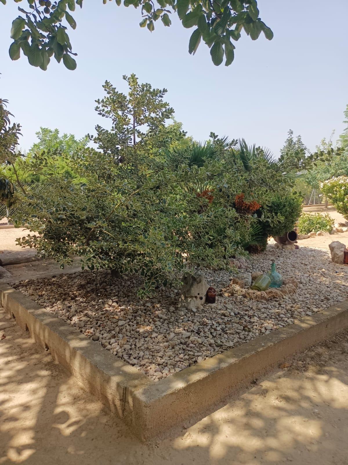 Appartement in Tortosa