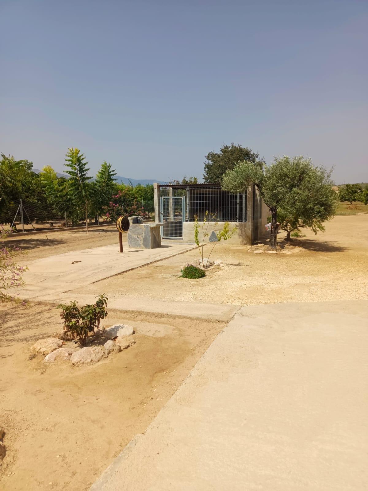 Appartement in Tortosa