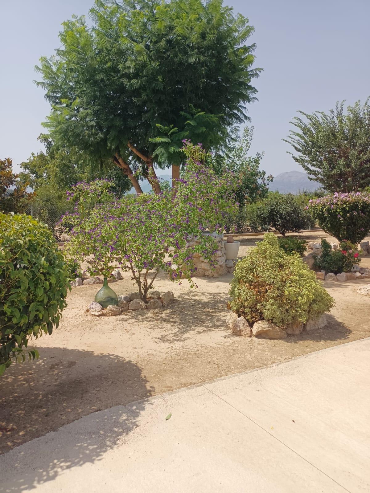 Appartement in Tortosa