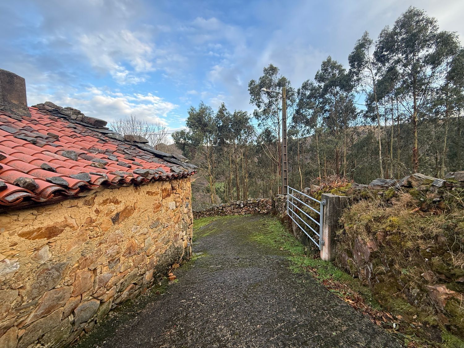 Casas o chalets-Venta-ValdÃ©s-2108375-Foto-16