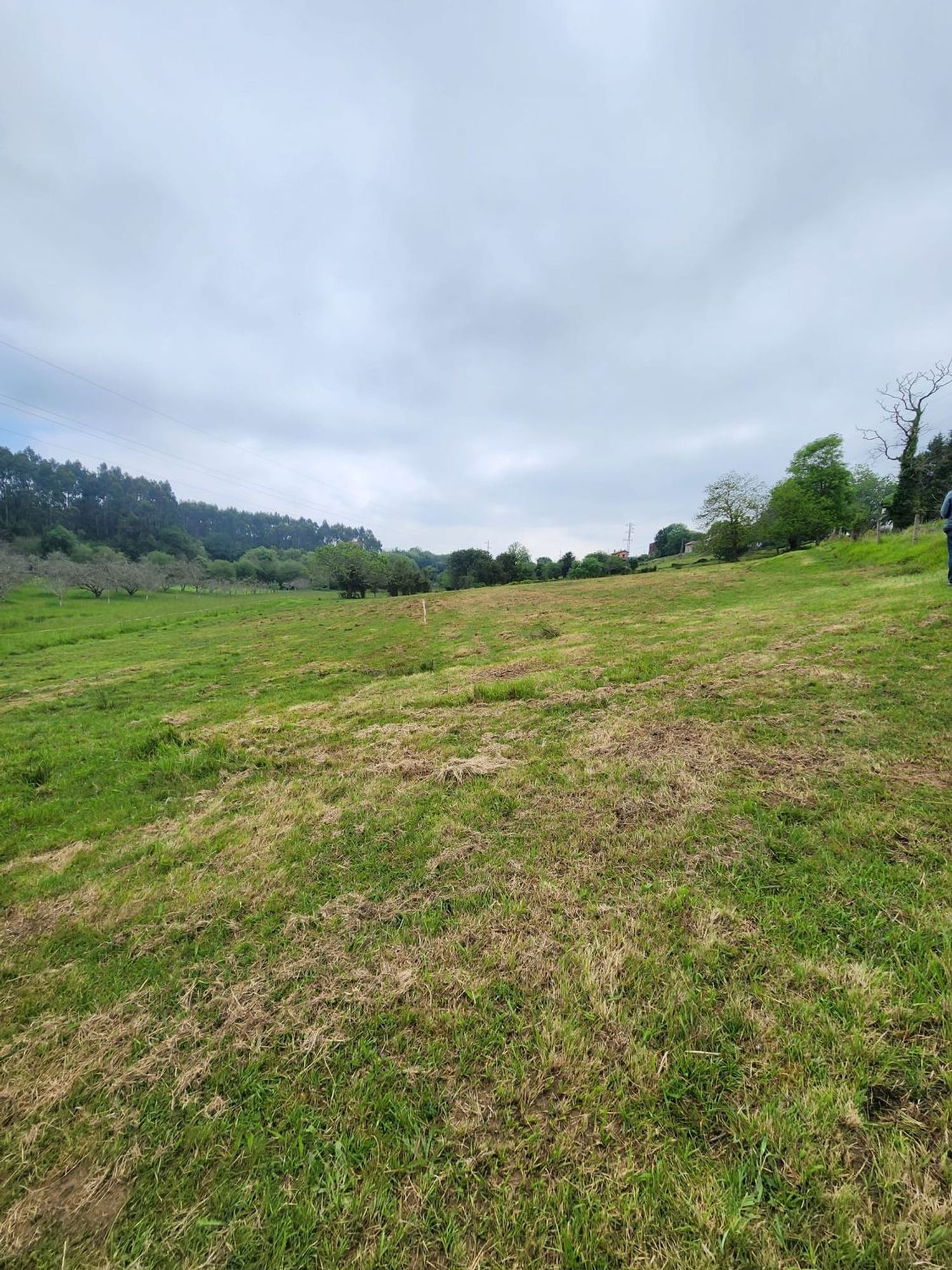 Parcelle in Ribadesella