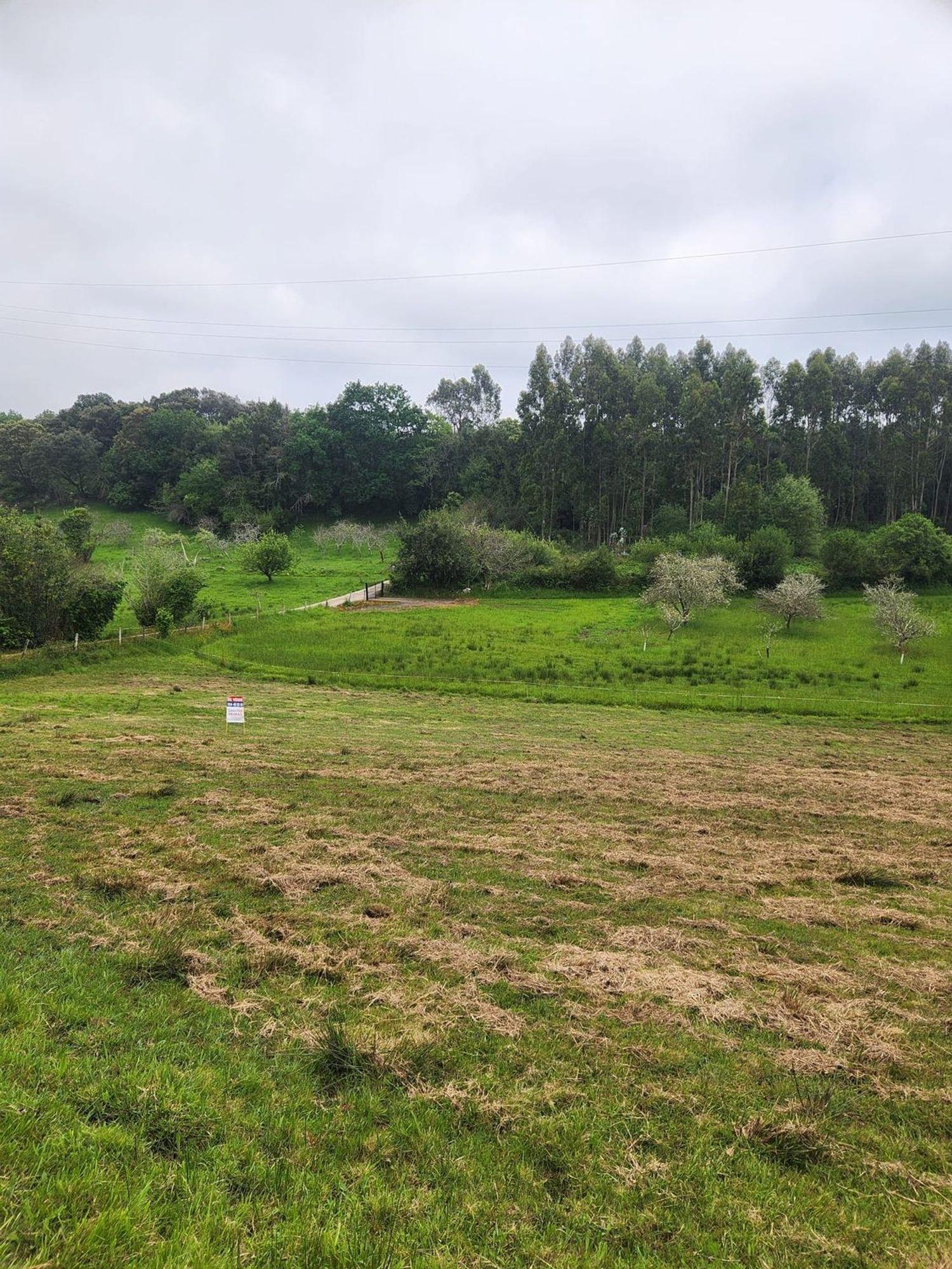 Parcelle in Ribadesella