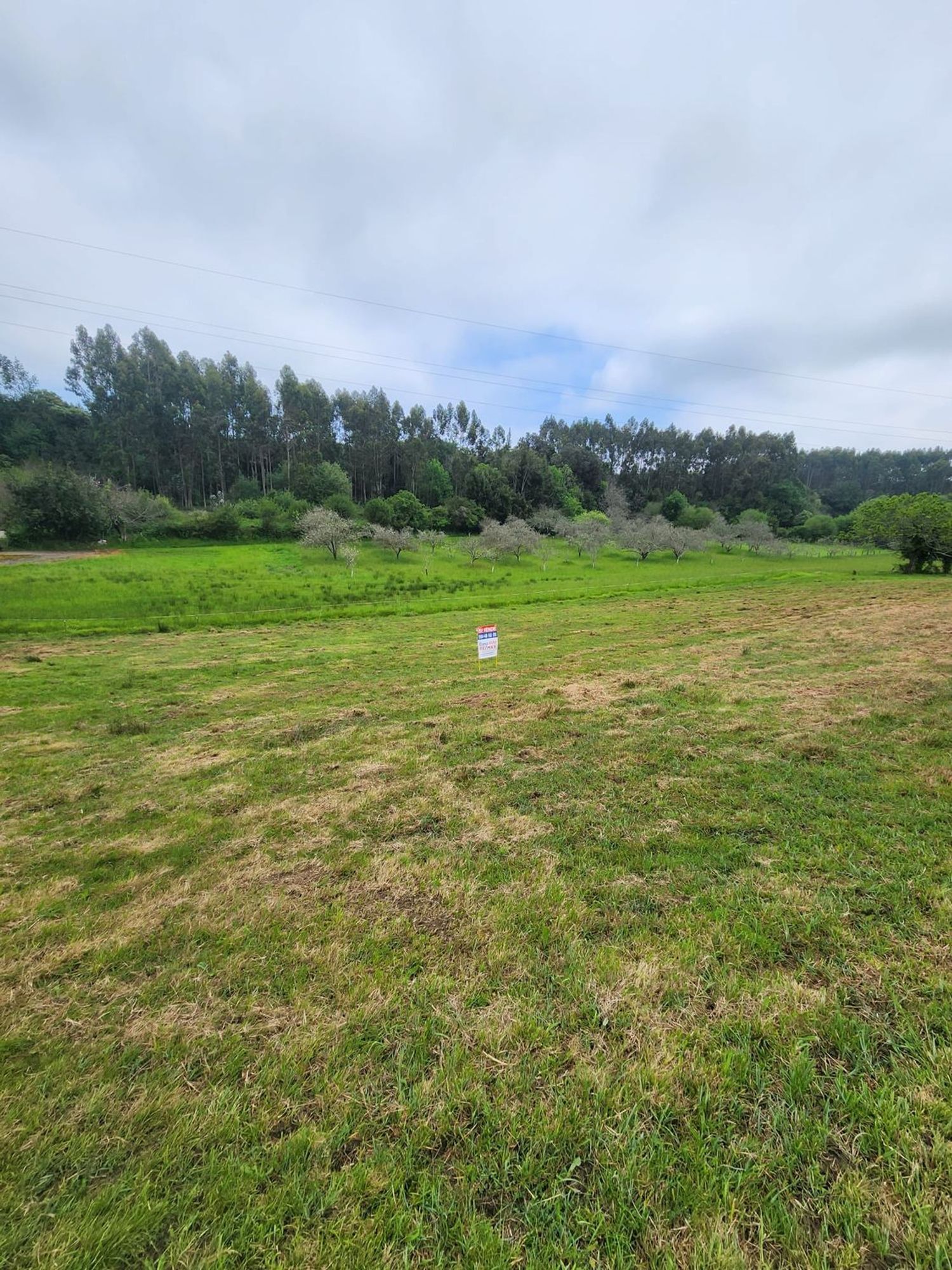 Parcelle in Ribadesella