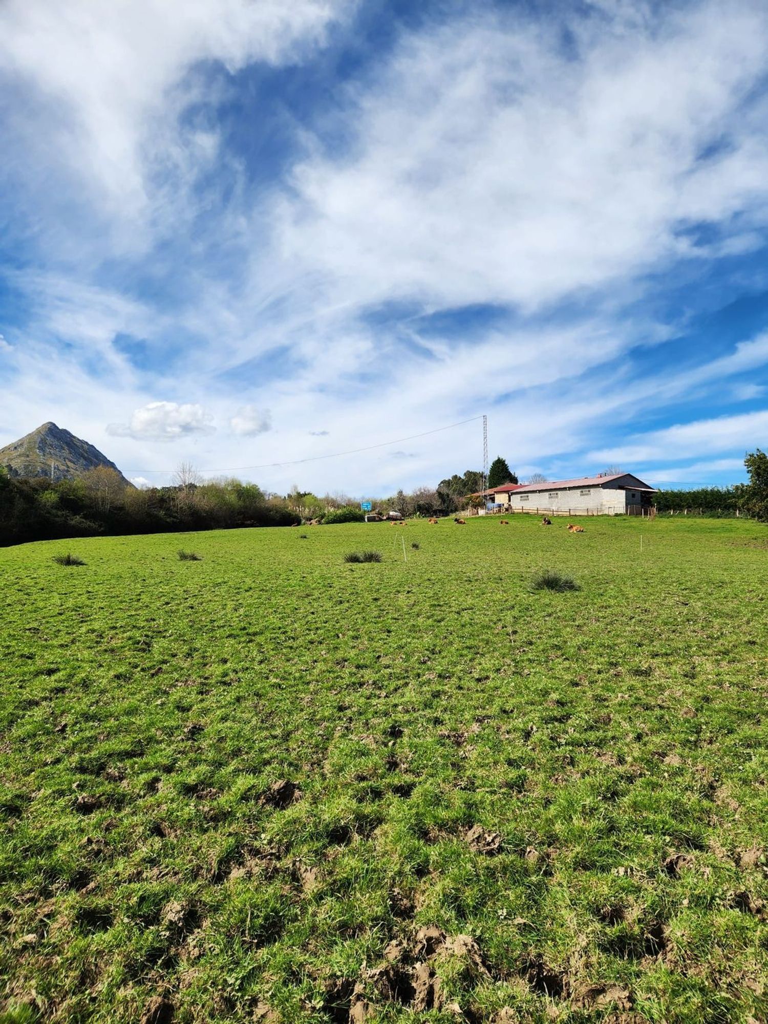 Parcelle in Ribadesella