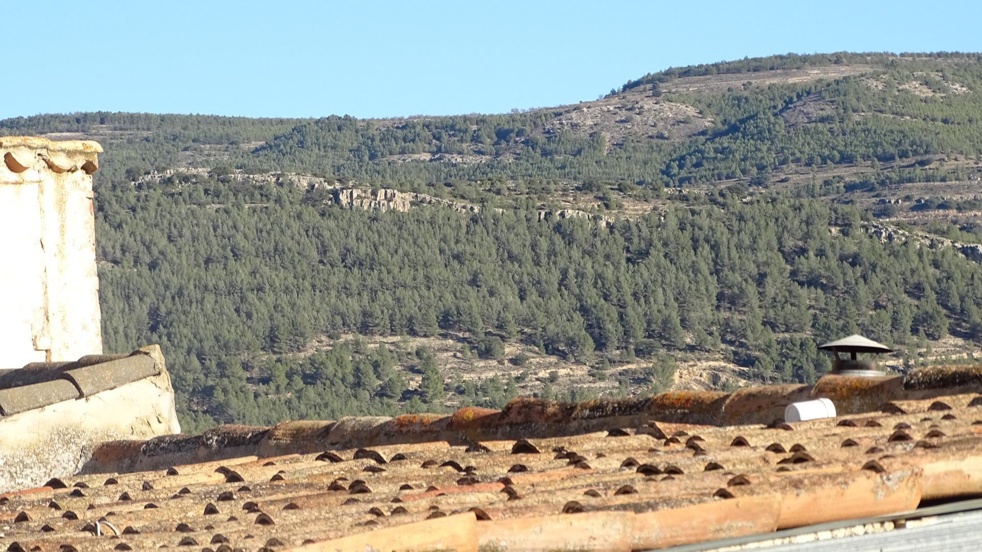 Trasteros in Torrebaja