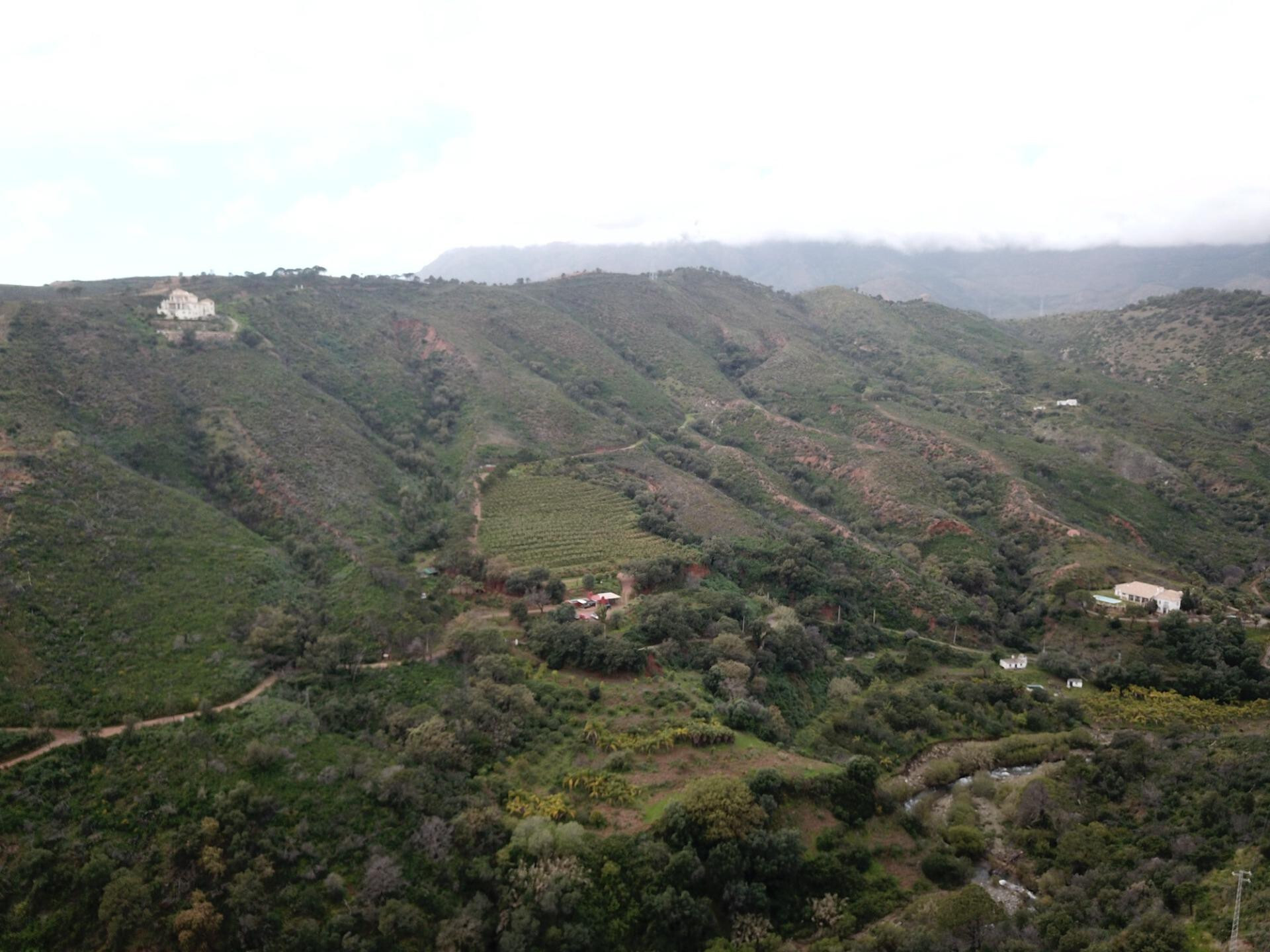 Parcelle in ESTEPONA