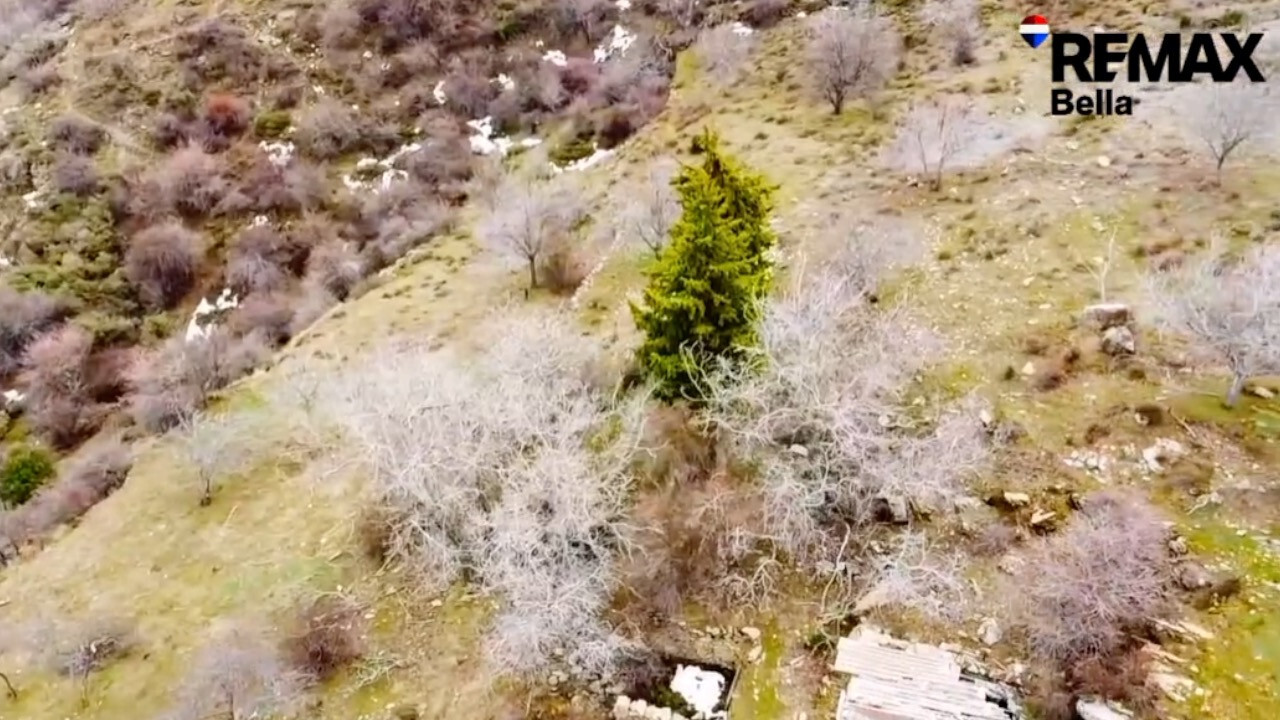 Parcelle in GUEJAR SIERRA