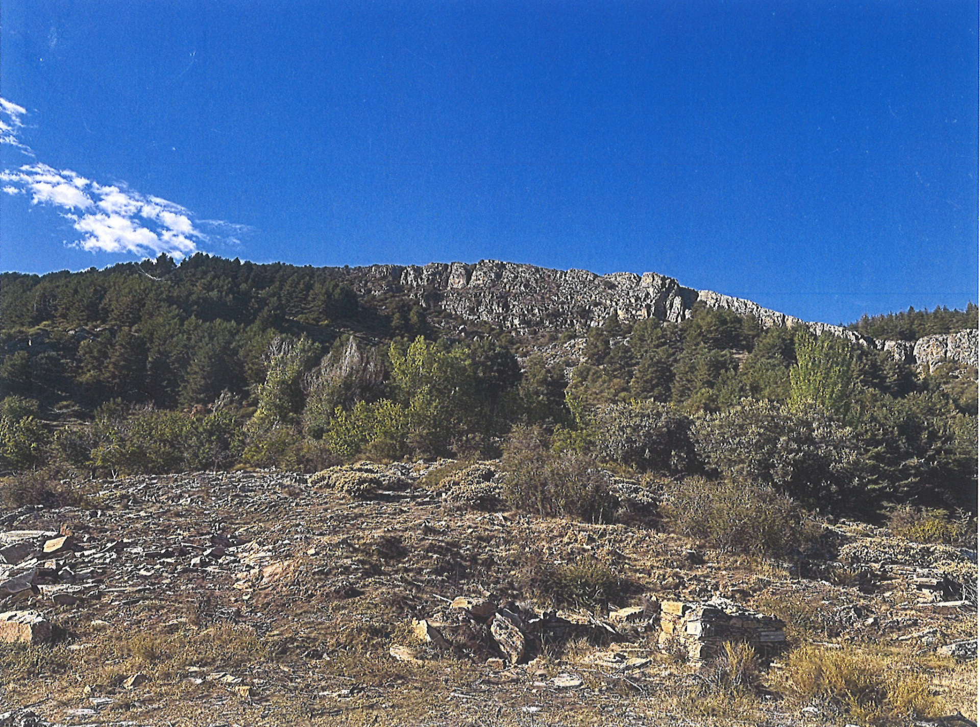 Parcelle in GUEJAR SIERRA