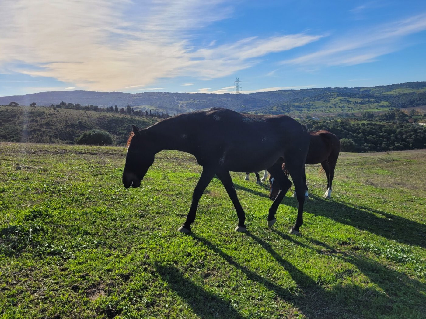 Villa in SAN MARTIN DEL TESORILLO