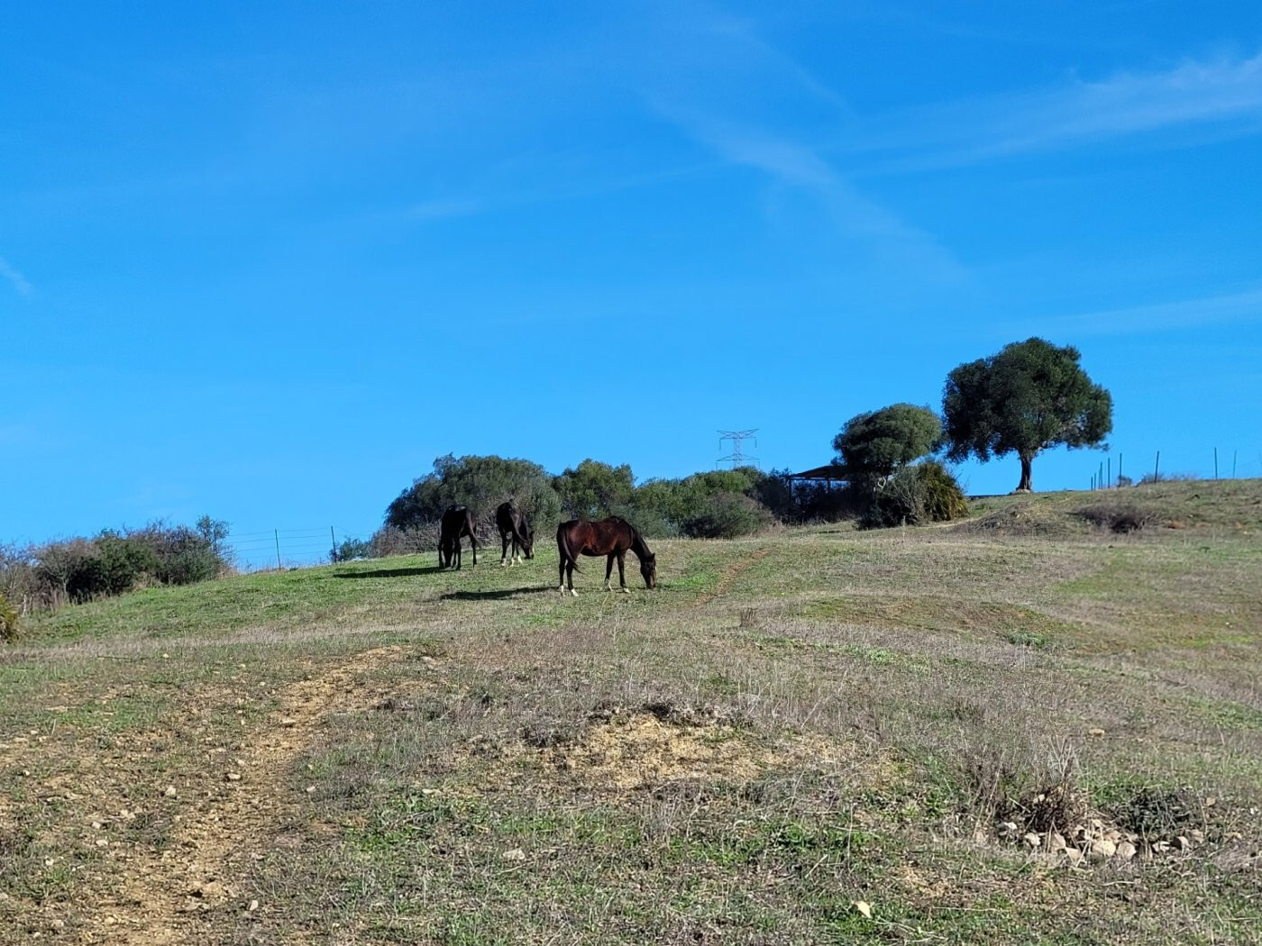 Villa in SAN MARTIN DEL TESORILLO