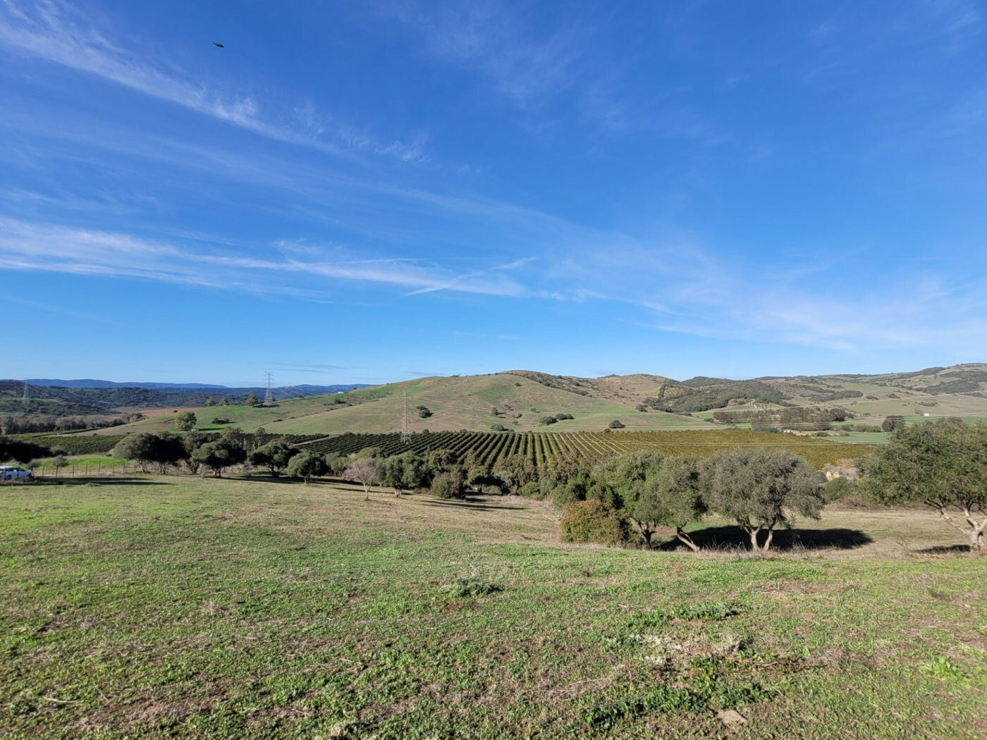 Villa in SAN MARTIN DEL TESORILLO