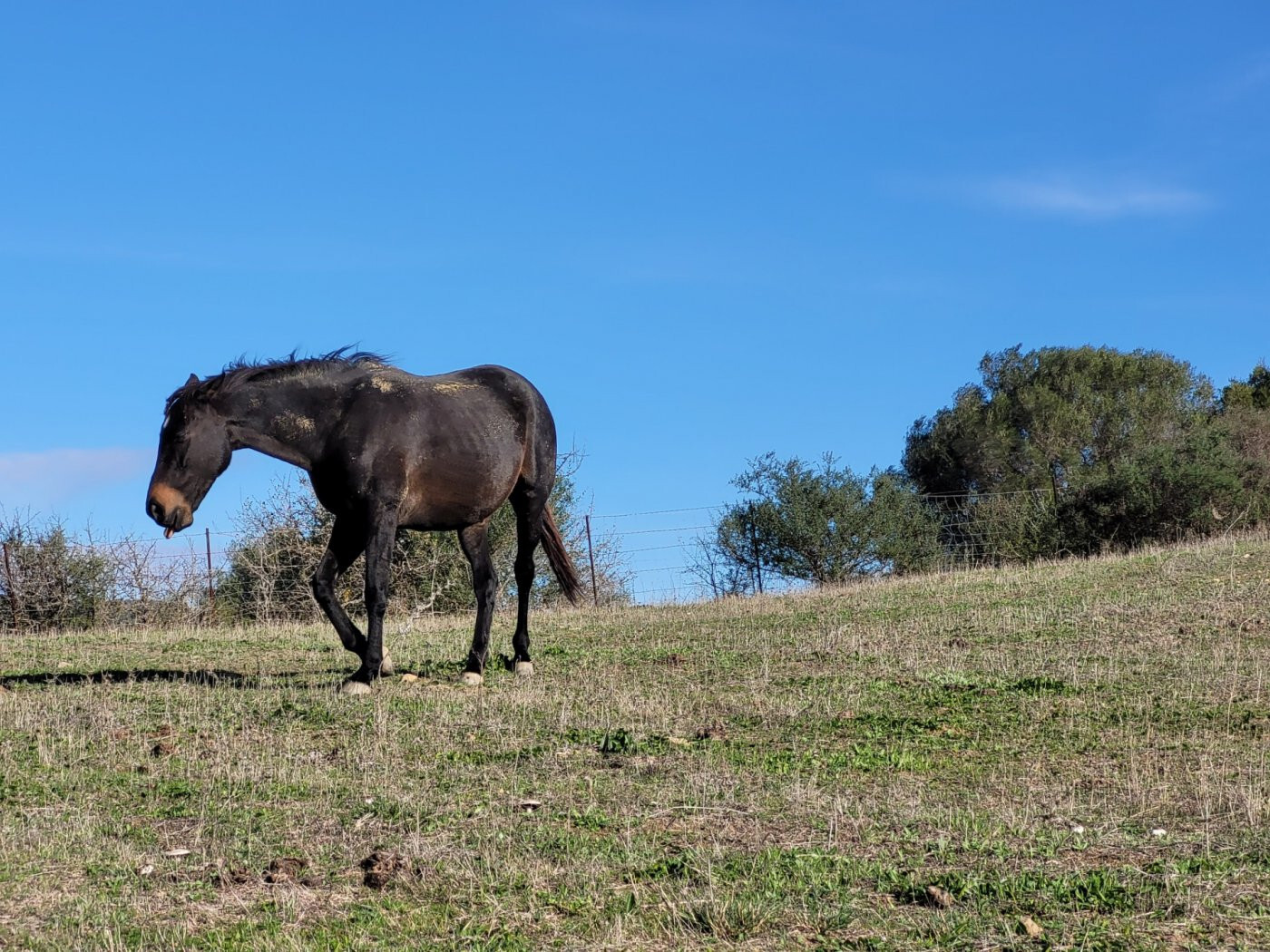 Villa in SAN MARTIN DEL TESORILLO