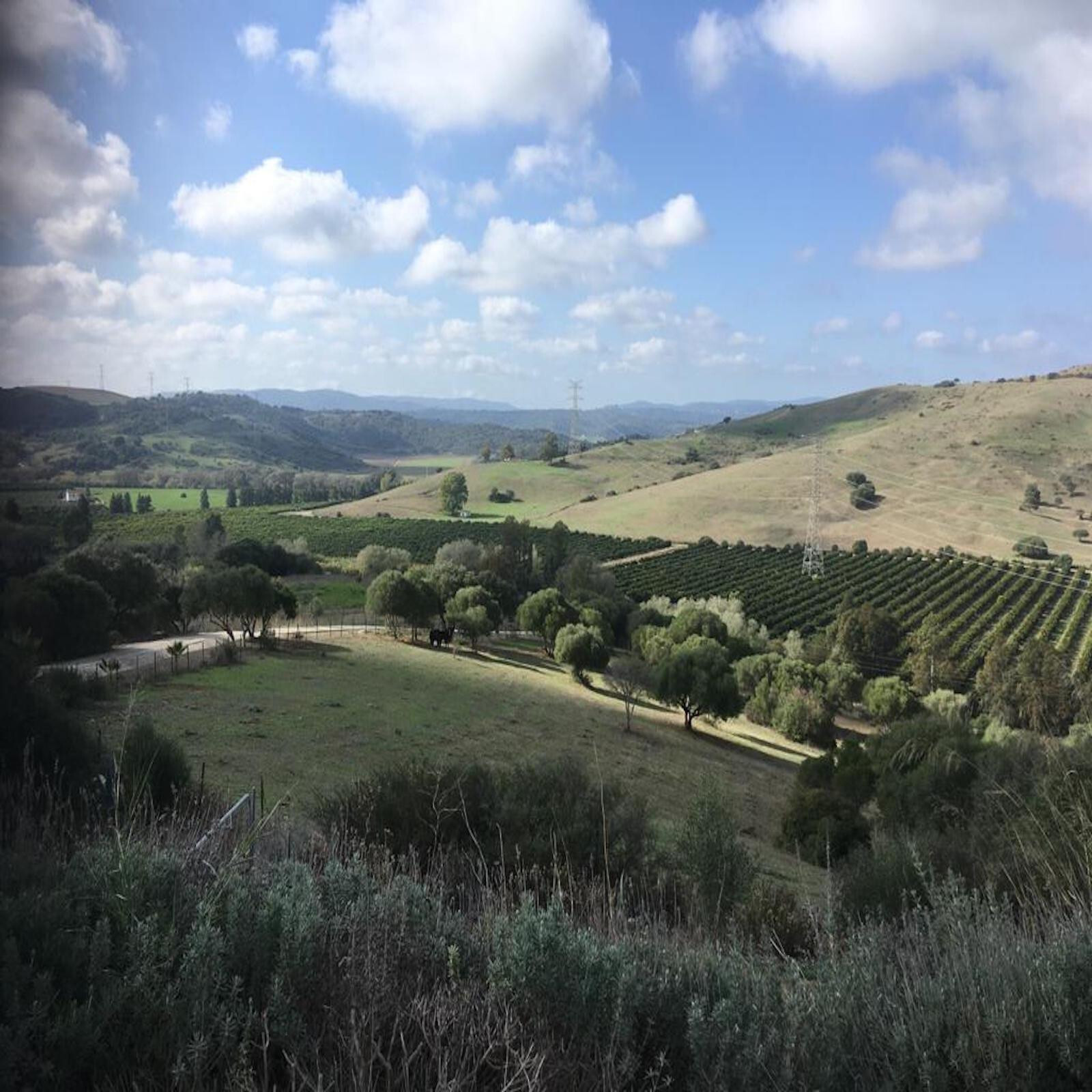 Villa in SAN MARTIN DEL TESORILLO