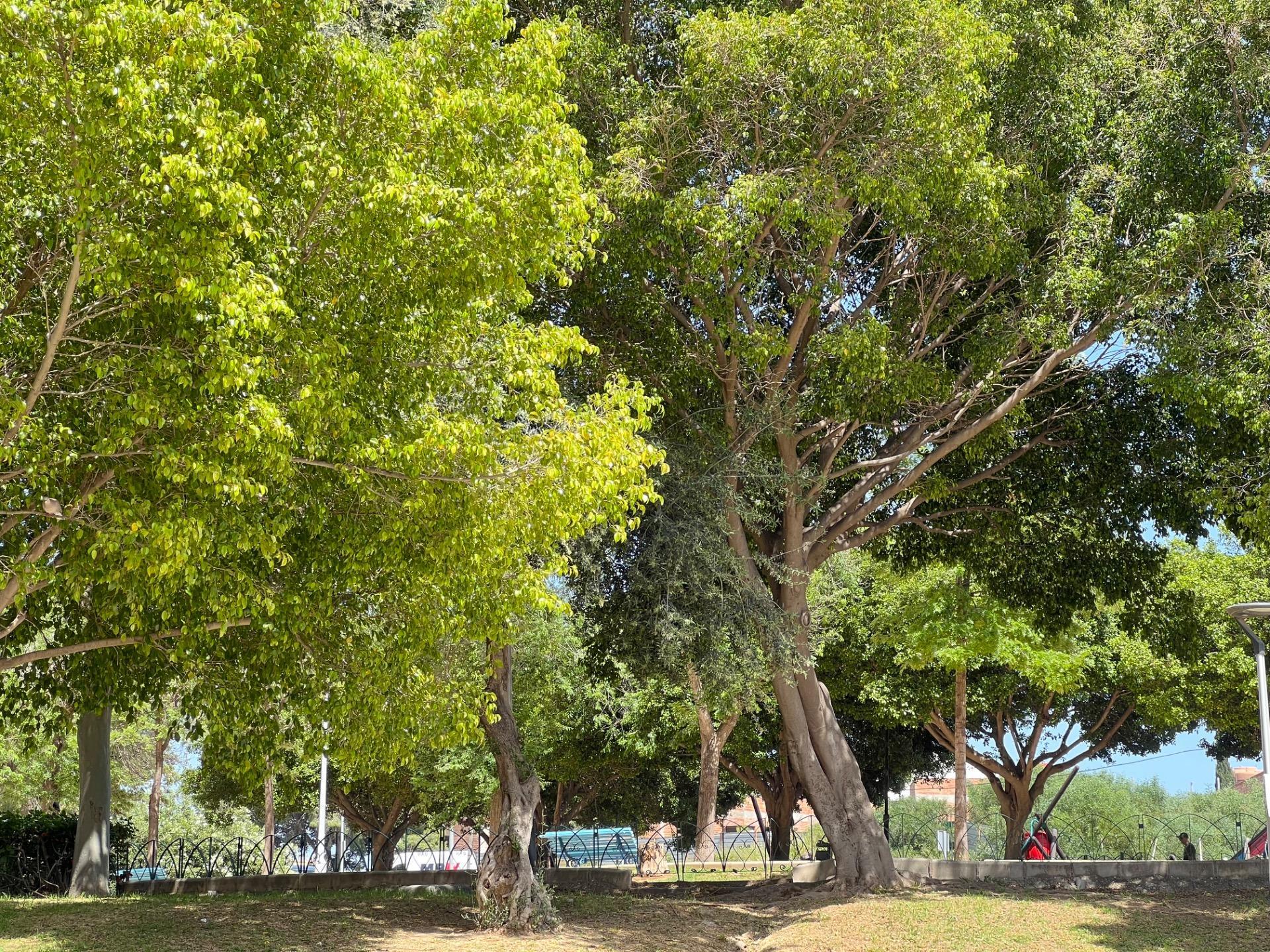 Pisos-Venta-Torremolinos-2242675-Foto-43