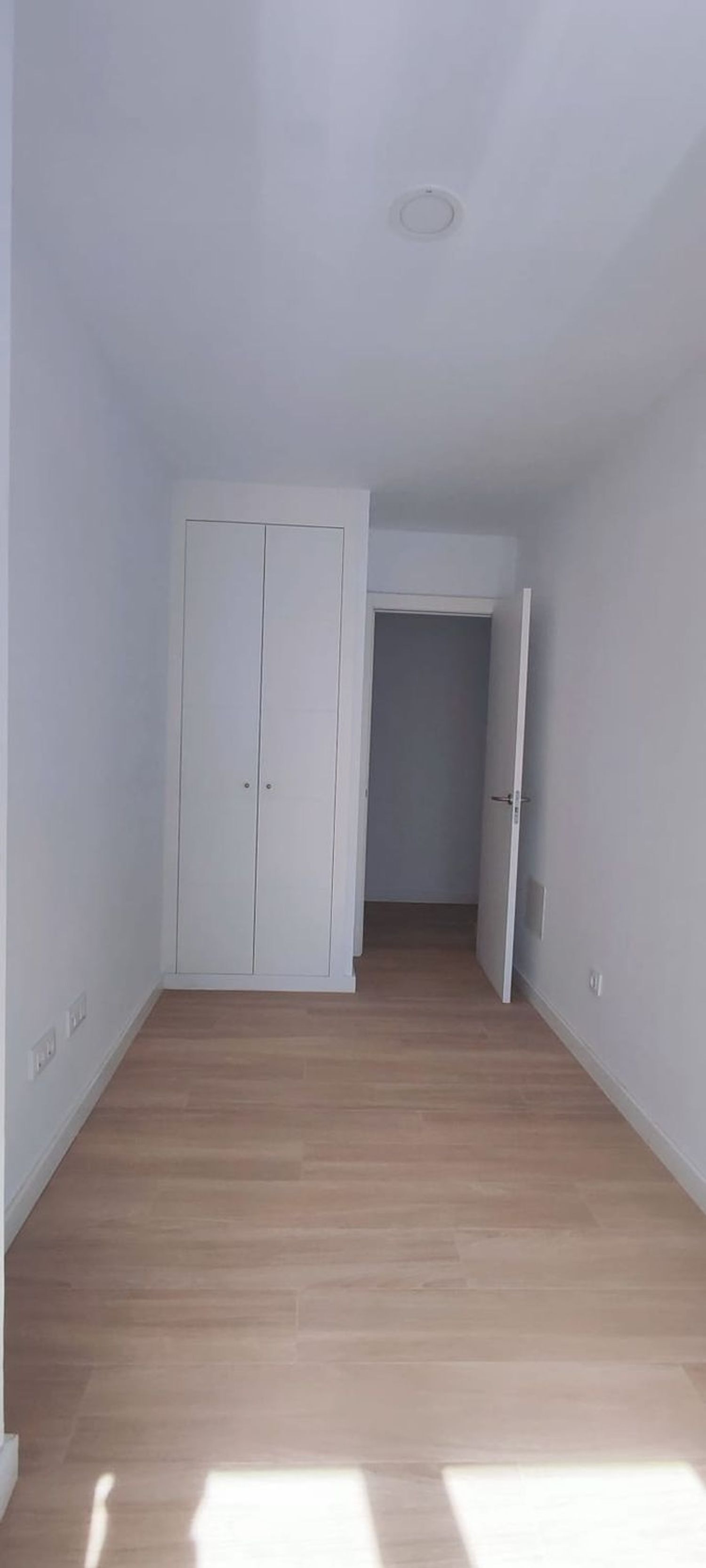 Pisos-Alquiler-Las Palmas de Gran Canaria-2242244-Foto-14