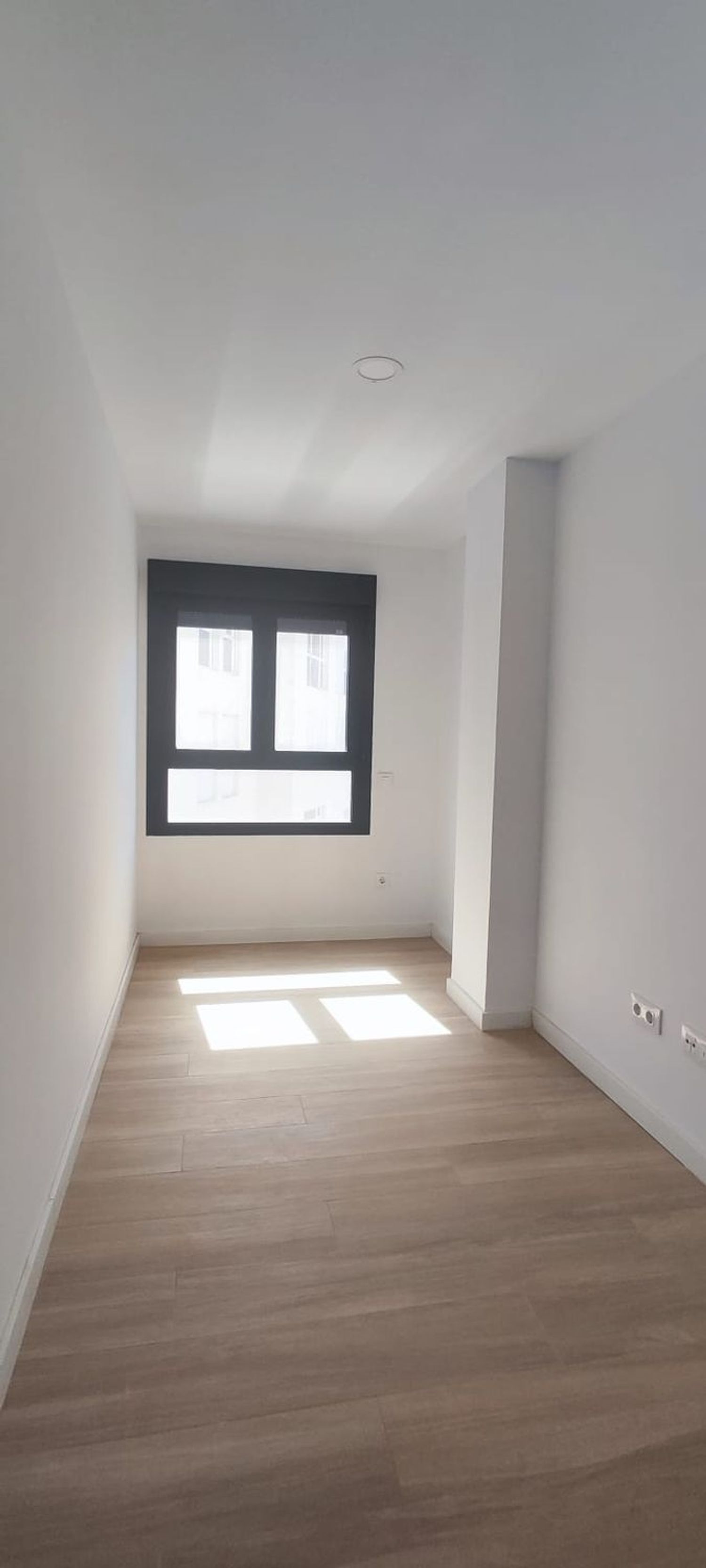 Pisos-Alquiler-Las Palmas de Gran Canaria-2242244-Foto-15