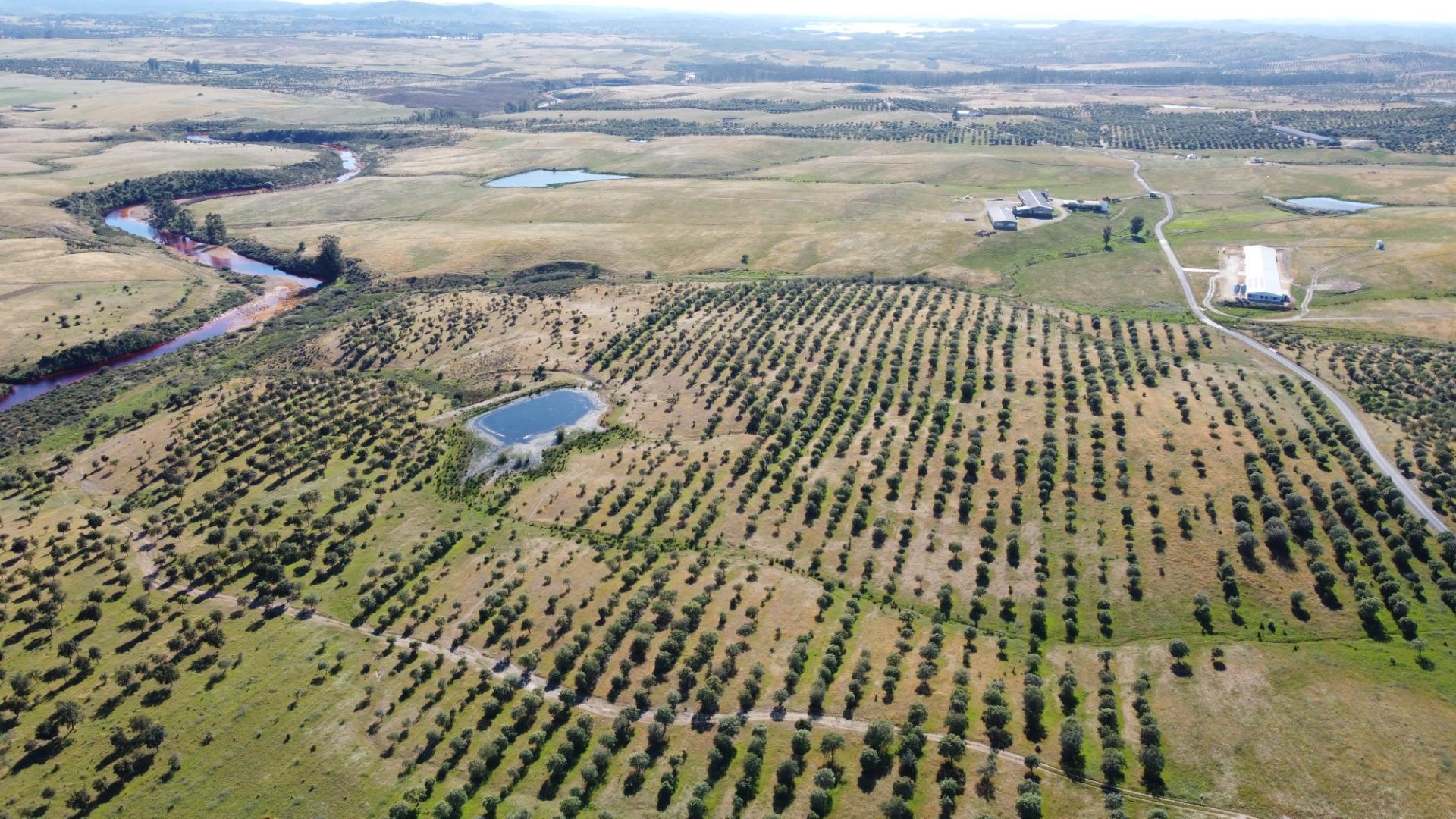 Appartement in Puebla de Guzman