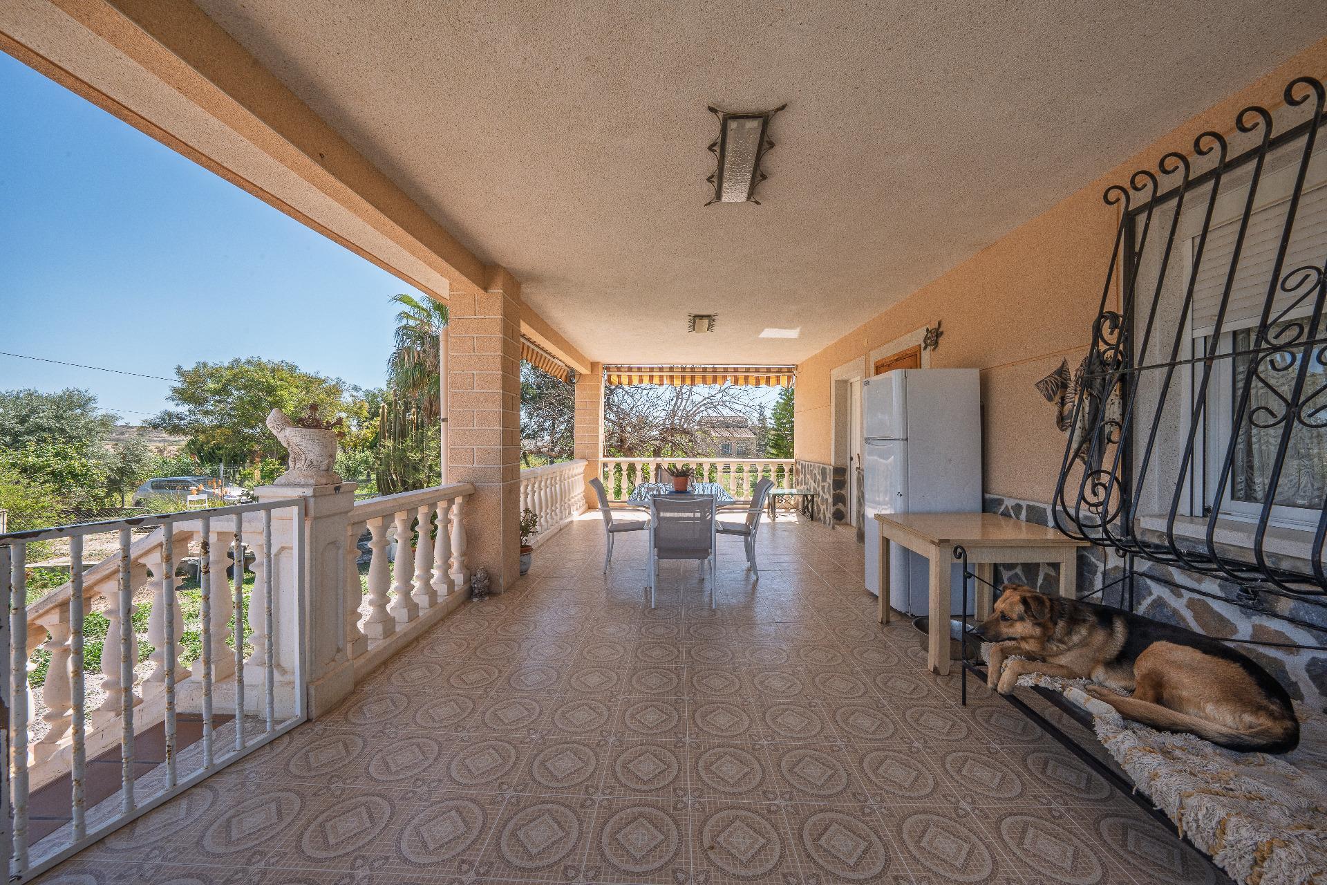 Casas o chalets-Venta-Alicante-2242672-Foto-18