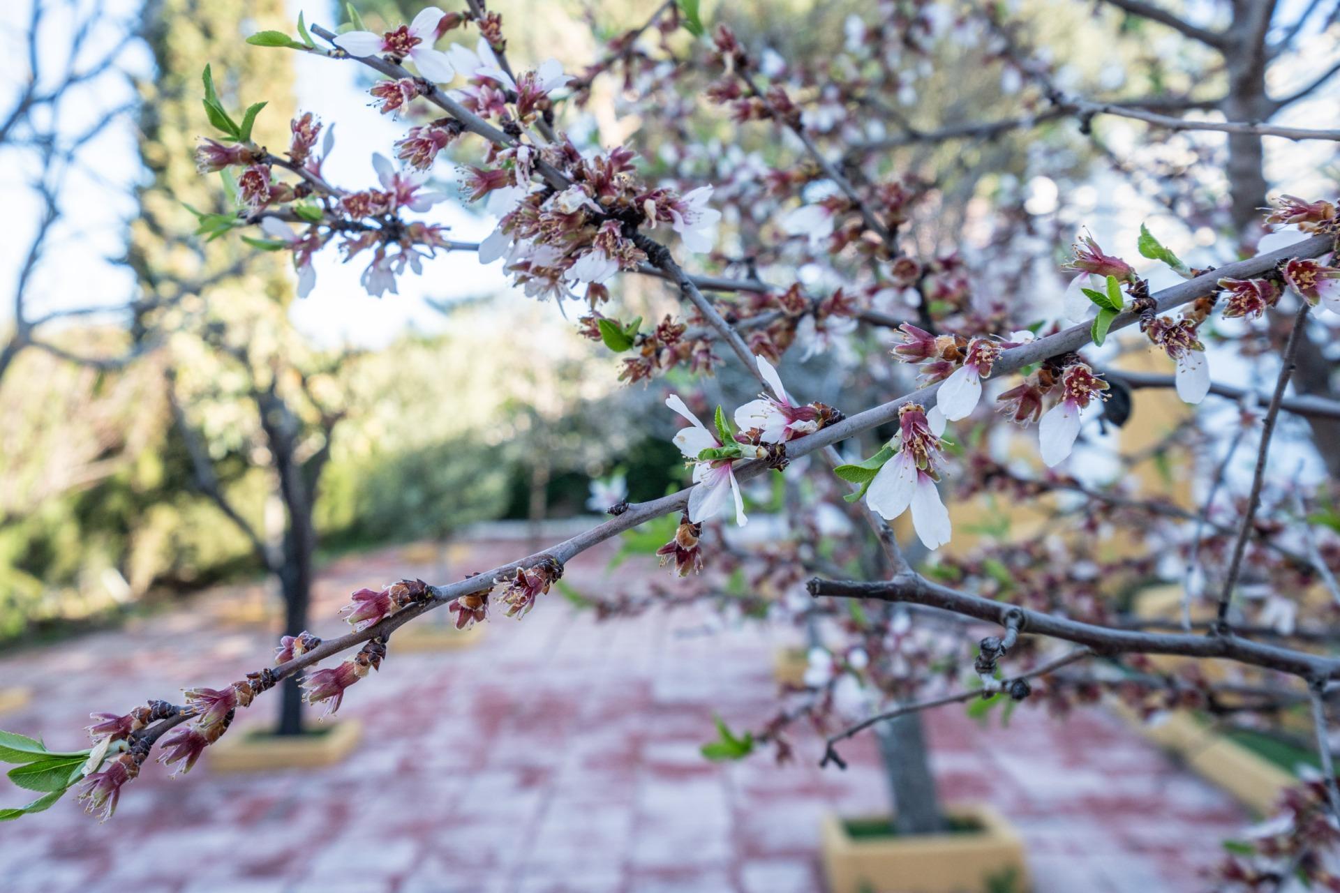 Casas o chalets-Venta-Galapagar-2213677-Foto-51