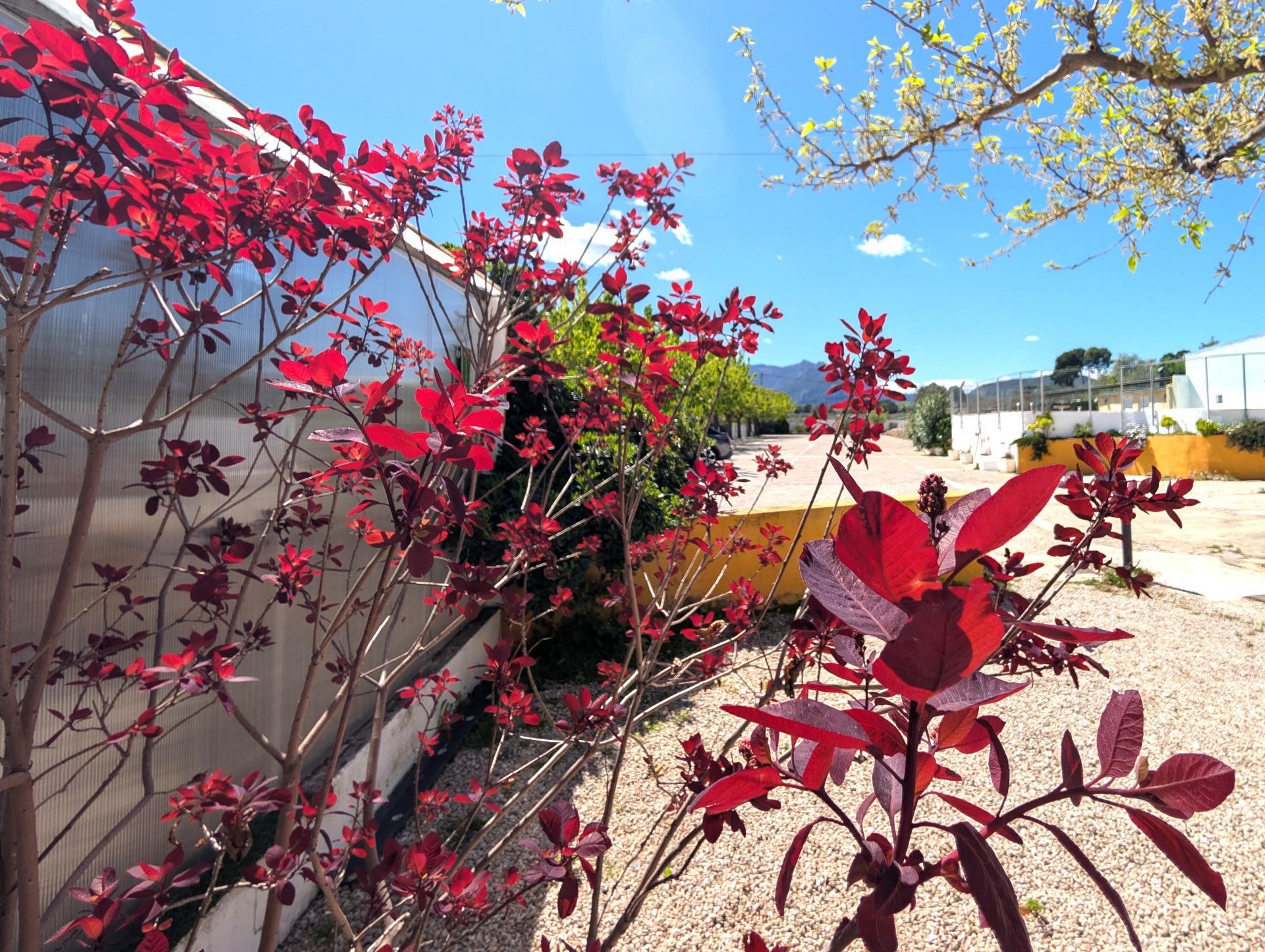 Casas o chalets-Venta-Gaianes-2207470