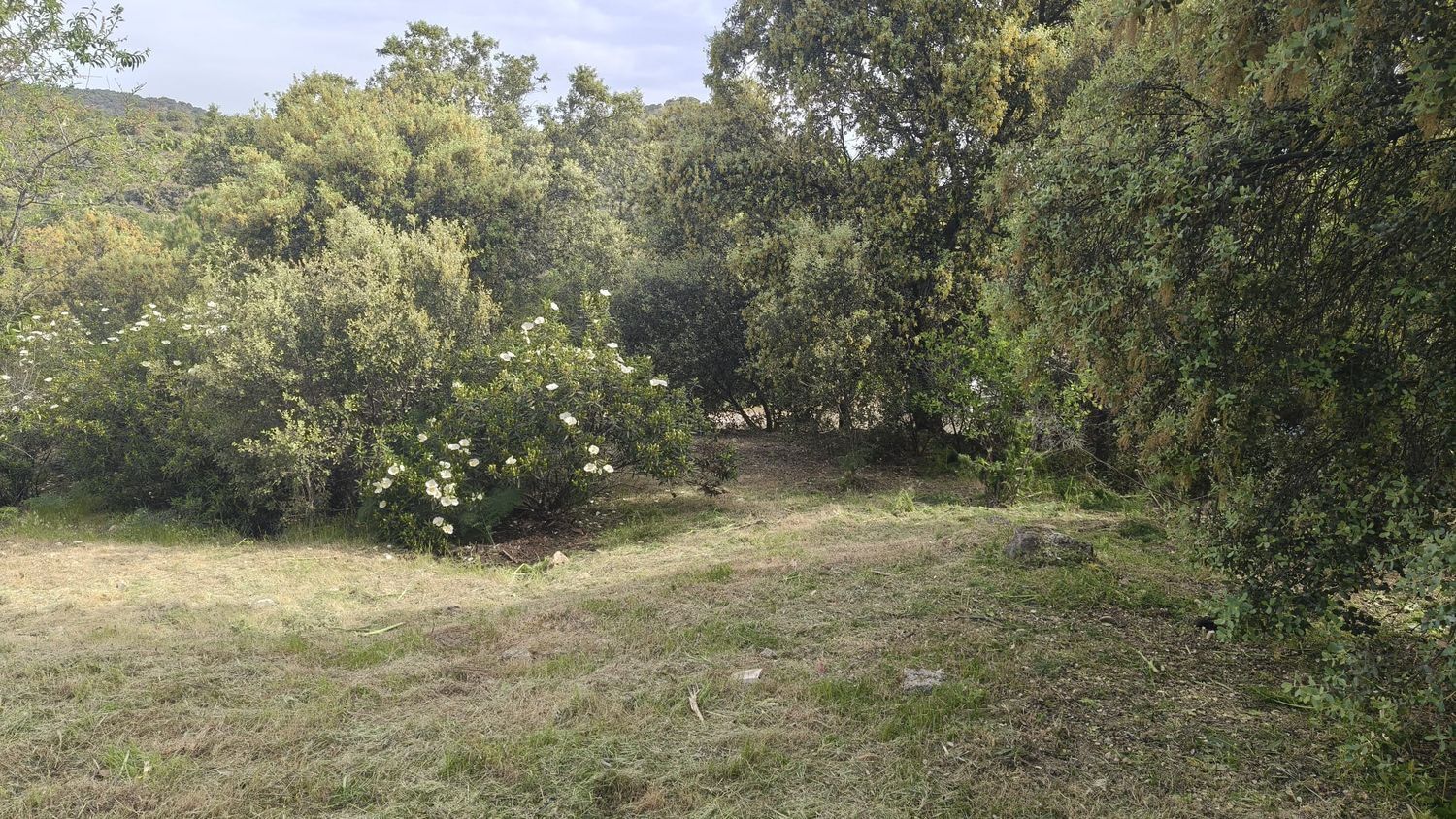 Fincas y solares-Venta-Valdemorillo-2247995-Foto-5