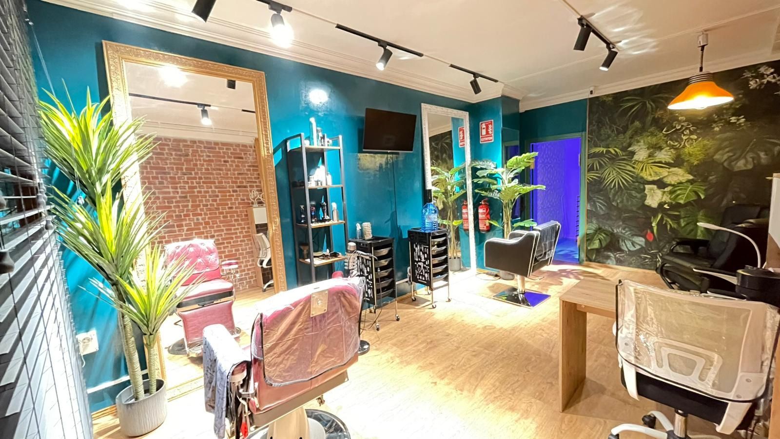 Negocios-Venta-Alicante-2143006-Foto-4