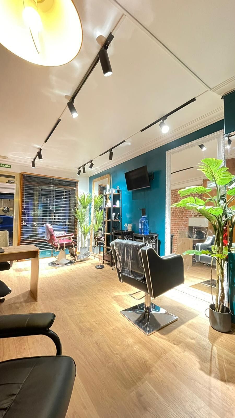 Negocios-Venta-Alicante-2143006-Foto-8