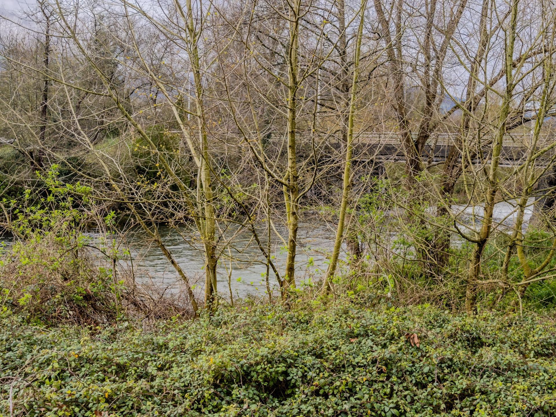 Apartment in Santa Maria de Cayon