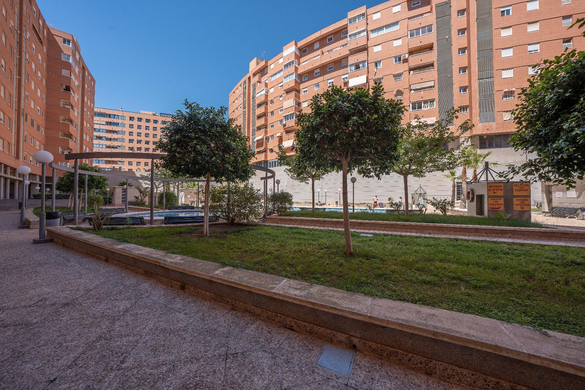 Pisos-Venta-Alicante-2248064-Foto-24