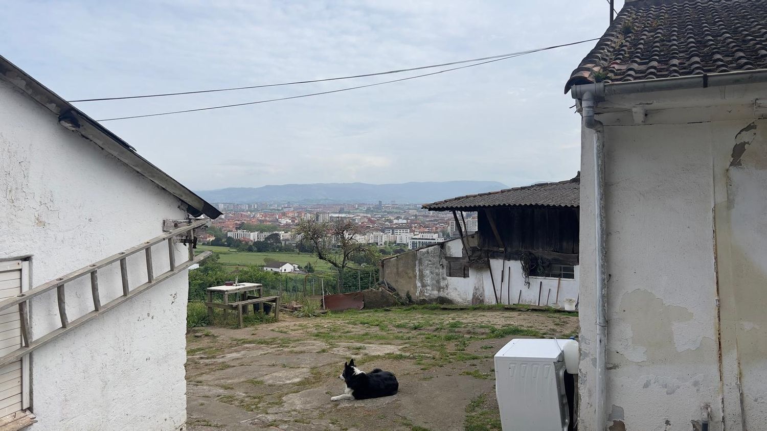 Casas o chalets-Venta-GijÃ³n-2248172-Foto-7