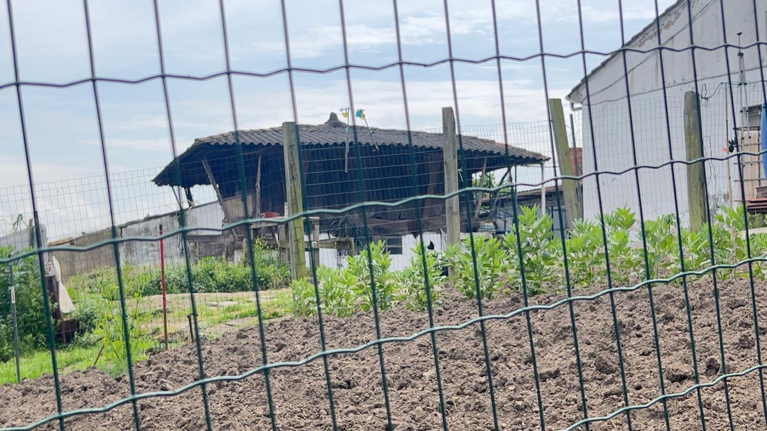 Casas o chalets-Venta-GijÃ³n-2248172-Foto-11