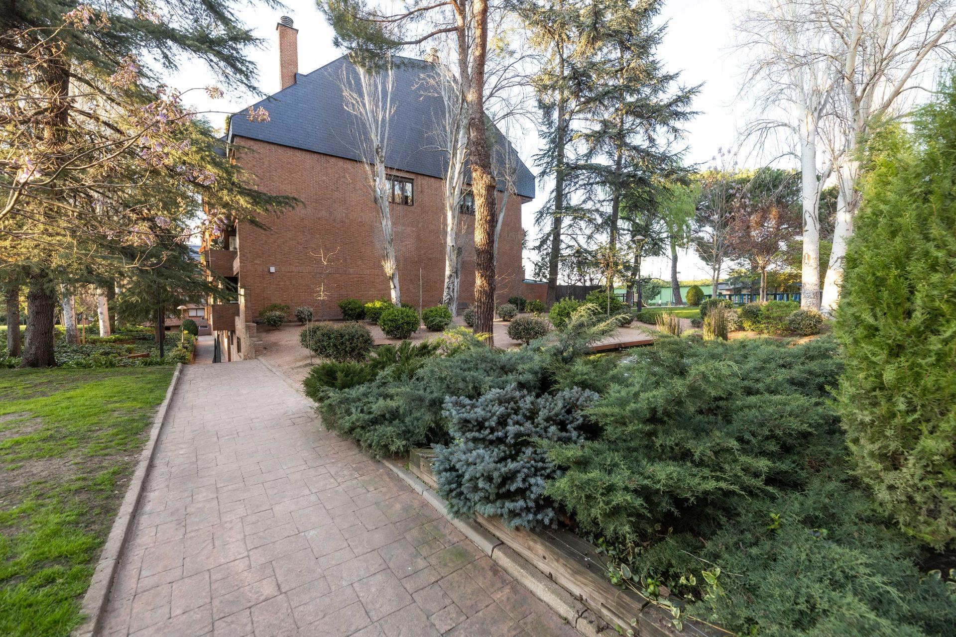 Pisos-Venta-Las Rozas de Madrid-2208871-Foto-32