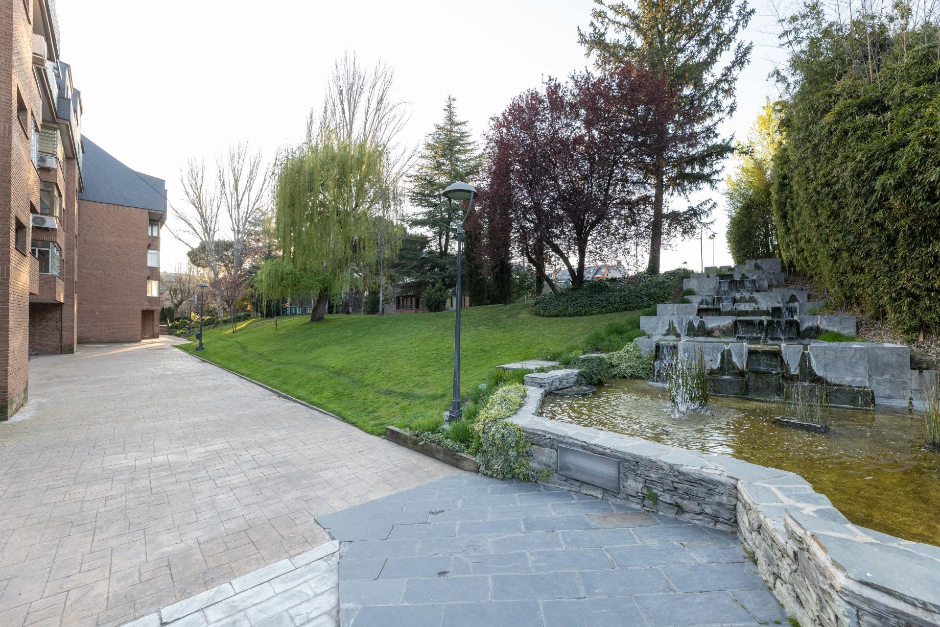 Pisos-Venta-Las Rozas de Madrid-2208871-Foto-39