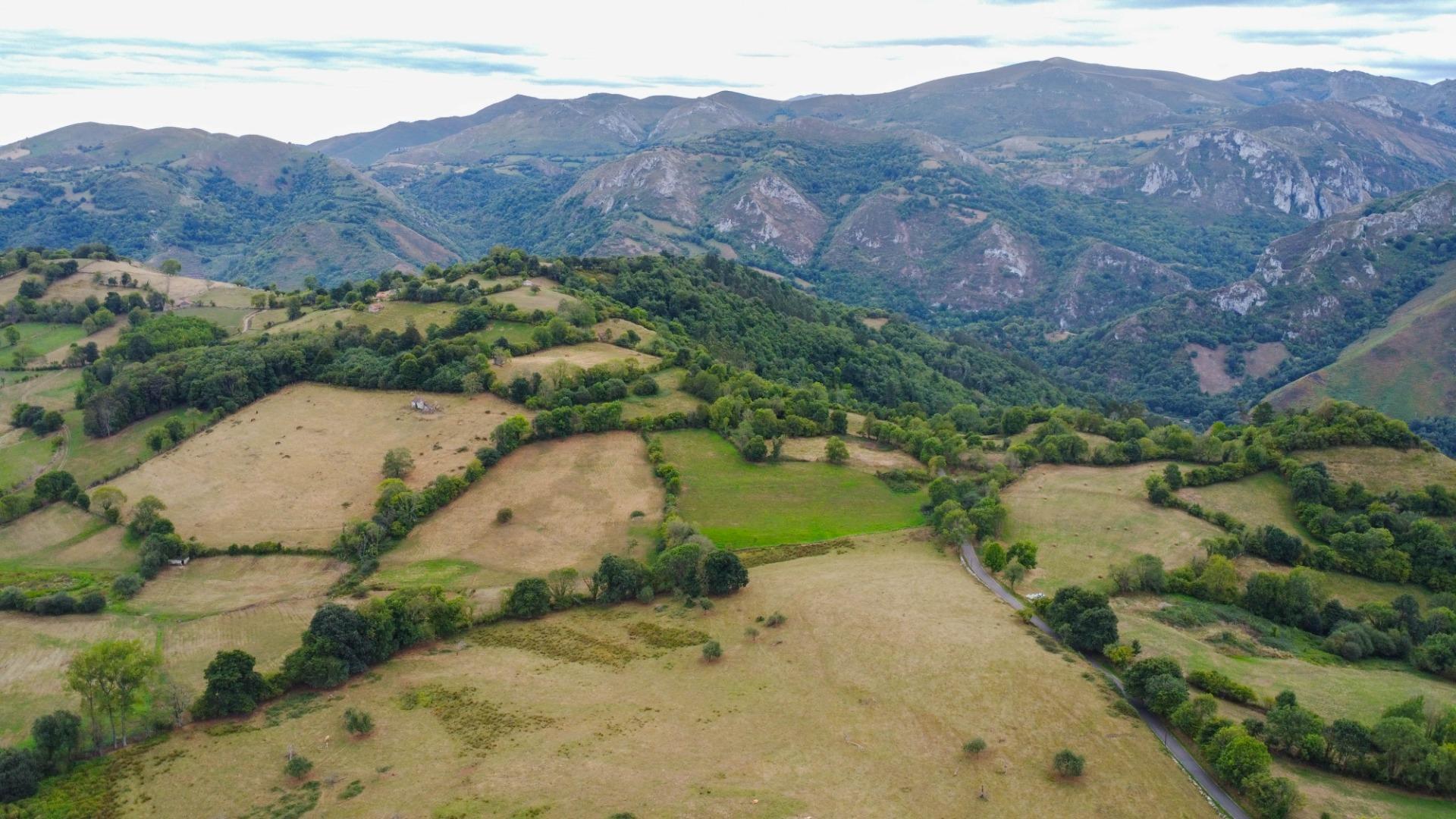 Appartement in Grado