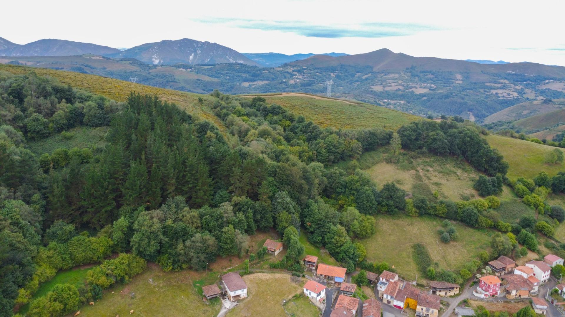 Appartement in Grado