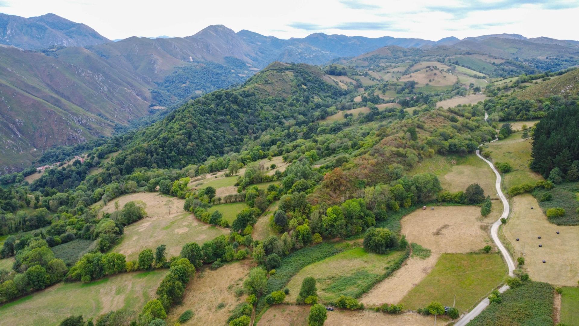 Appartement in Grado