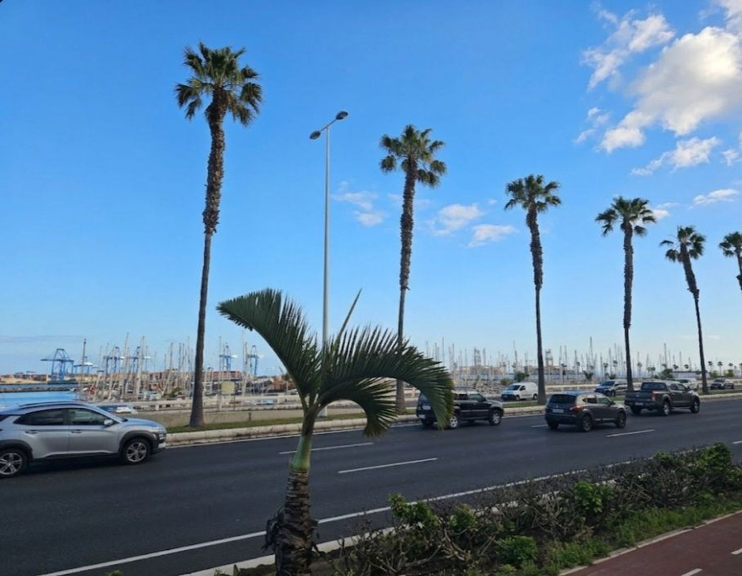 Pisos-Venta-Las Palmas de Gran Canaria-2247992-Foto-28