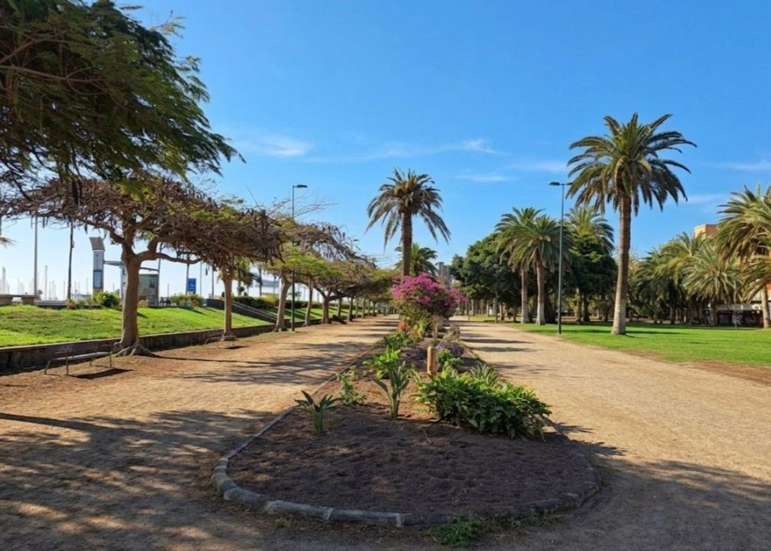 Pisos-Venta-Las Palmas de Gran Canaria-2247992-Foto-26