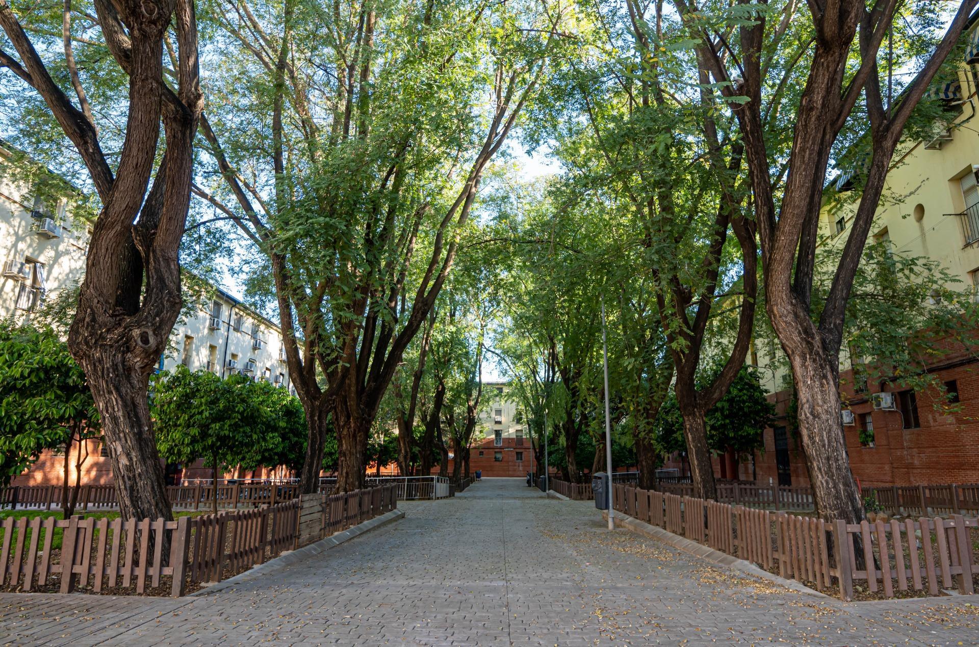 Appartement in Sevilla