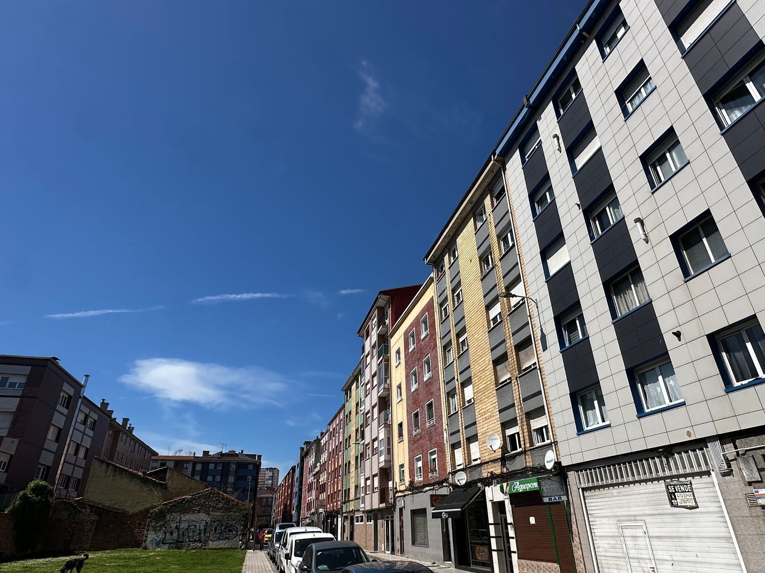 Pisos-Venta-GijÃ³n-2239328-Foto-8